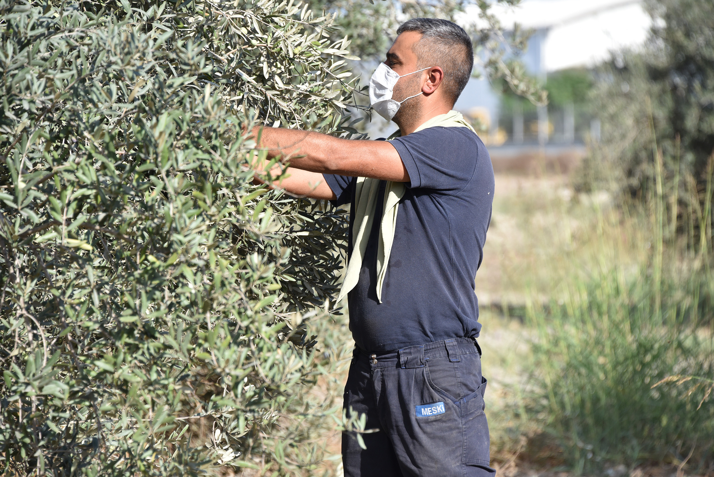 Mersin Büyükşehir Belediyesi ekiplerinin