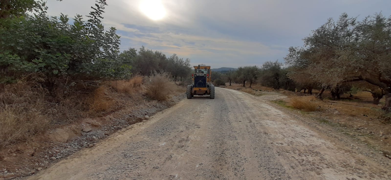 Mersin Büyükşehir Belediyesi’nin ana