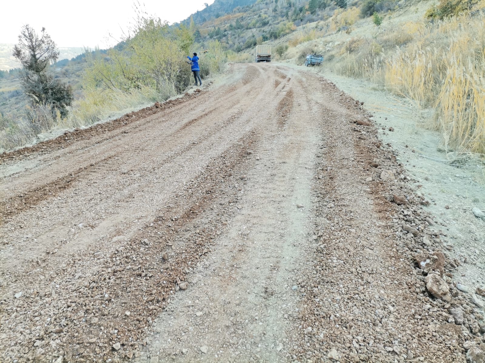 Mersin Büyükşehir Belediyesi, tüm