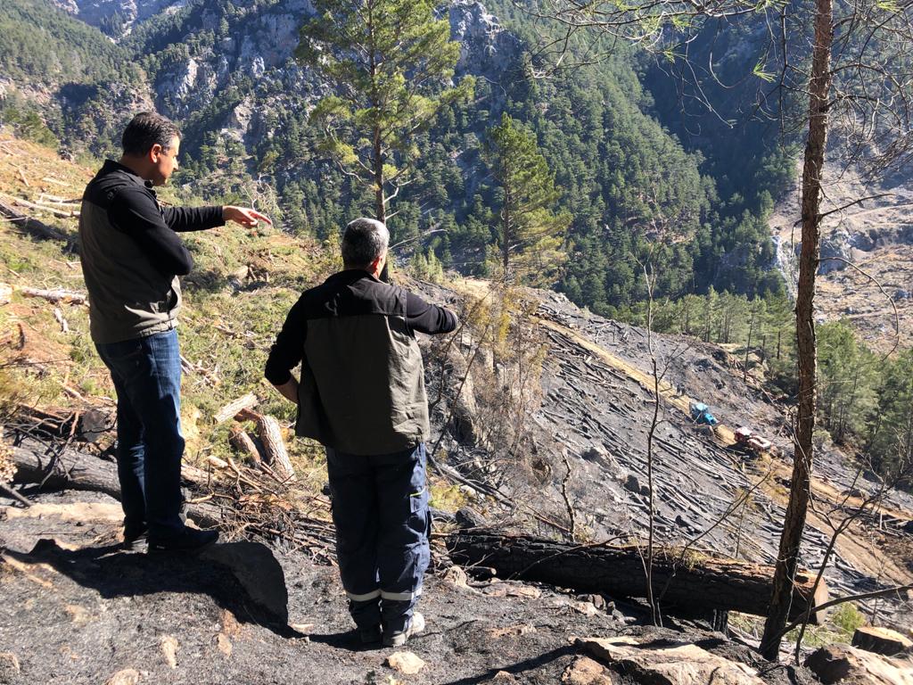 ANAMUR’DA ORMAN YANGINI Mersin Orman Bölge Müdürlüğü,