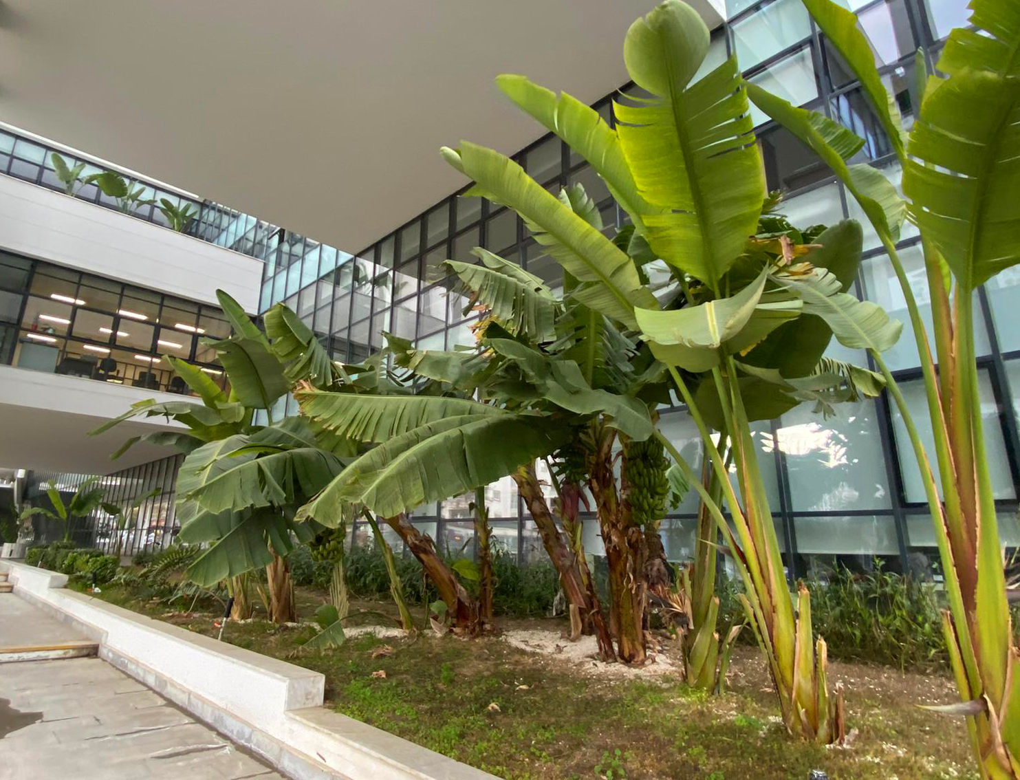 Ekolojik ve çevre dostu