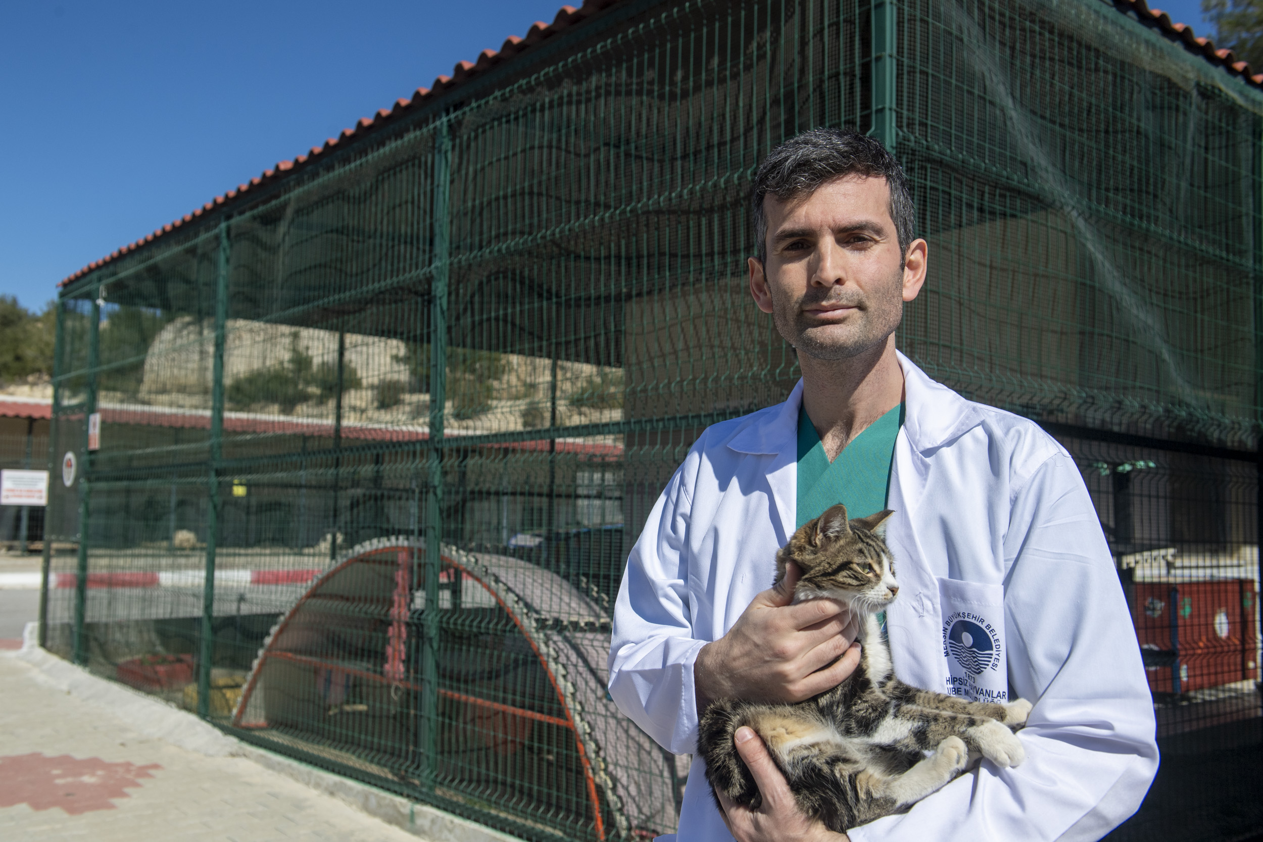 BÜYÜKŞEHİR, PATİLİ DOSTLARDA KISIRLAŞTIRMANIN ÖNEMİNE DİKKAT ÇEKTİ Mersin Büyükşehir Belediyesi Kaşlı