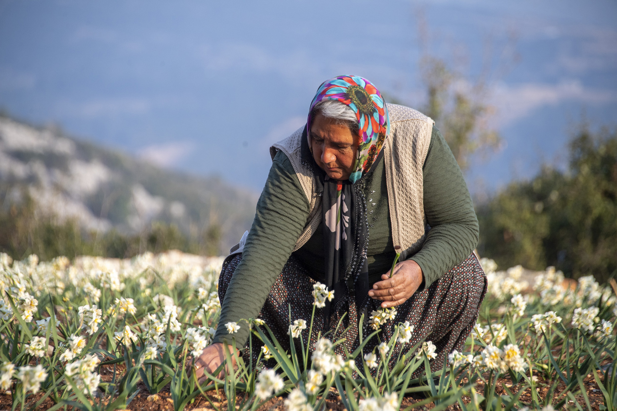 Kurulduğu günden bu yana