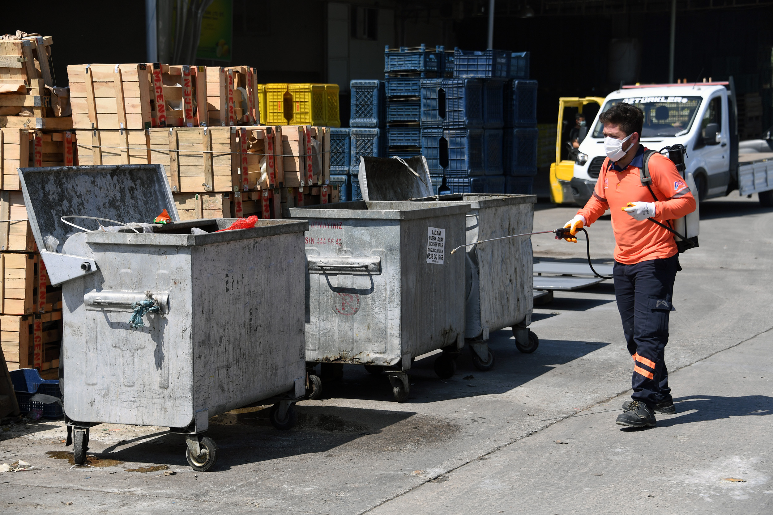 EKİPLER, TURUNÇGİL AĞACI ZARARLISI AKDENİZ MEYVE SİNEĞİNE KARŞI BİYOSİDAL UYGULAMA YAPIYOR Mersin Büyükşehir Belediyesi Çevre