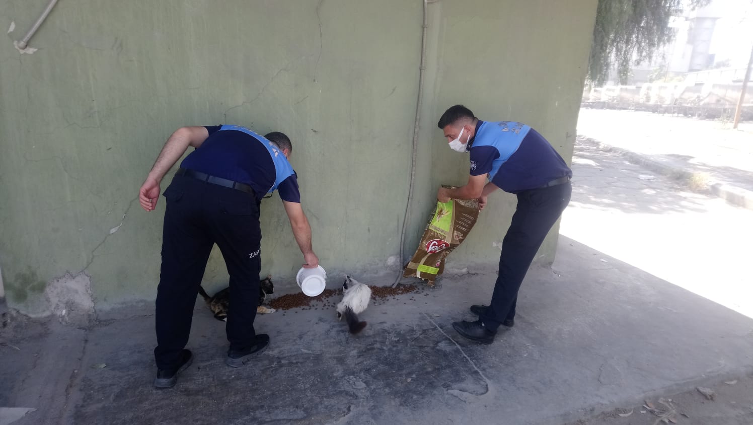 Sokak hayvanlarını yalnız bırakmayan