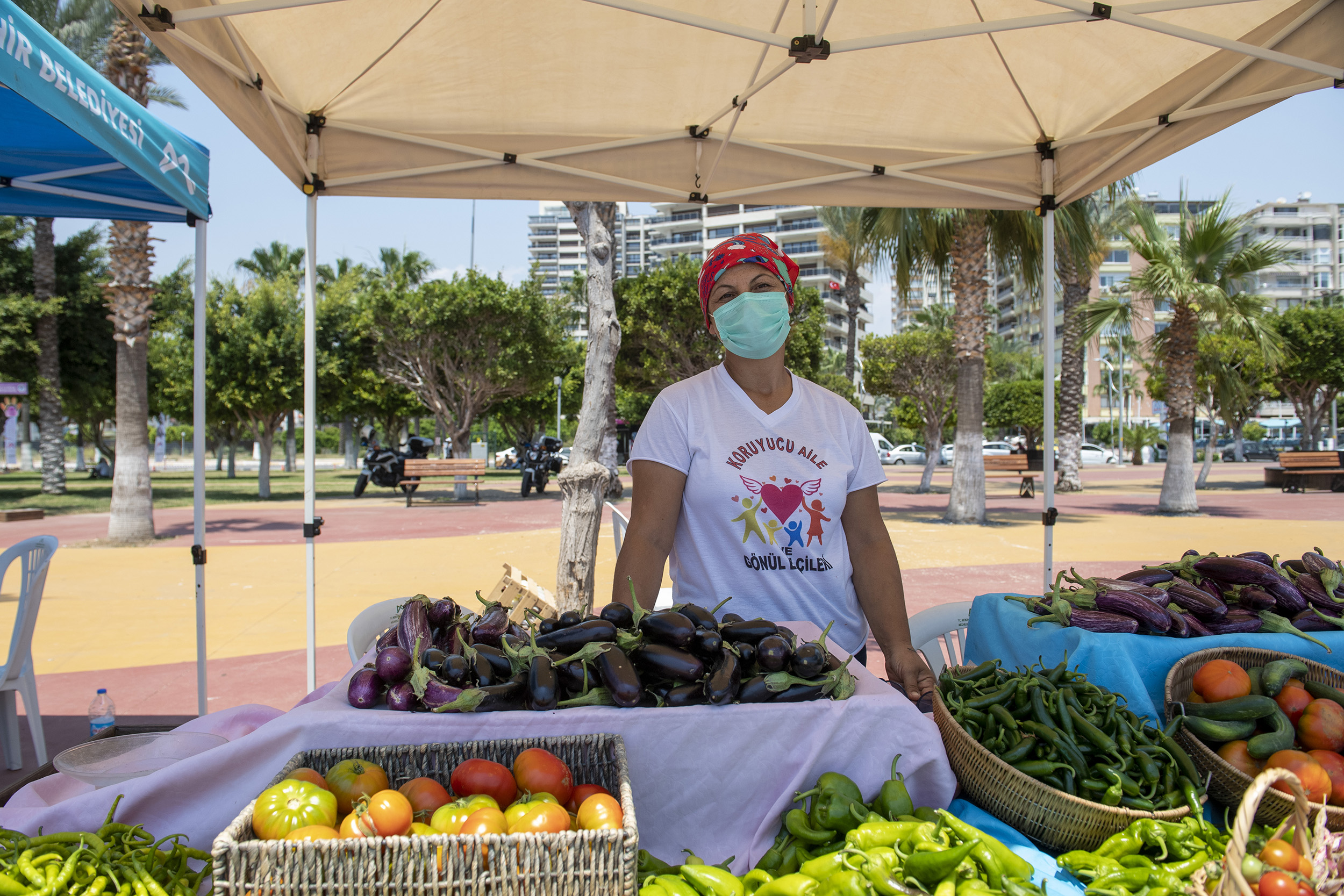 Mersin Büyükşehir Belediyesi, 5-11
