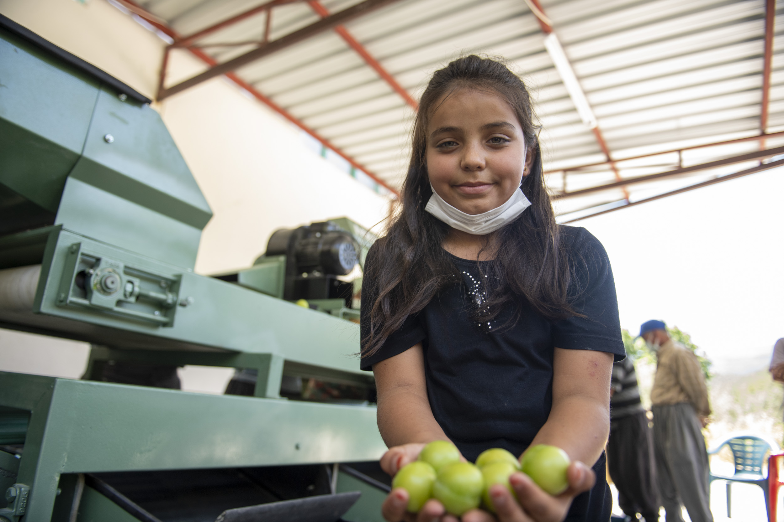Mersin Büyükşehir Belediyesi, tarımsal