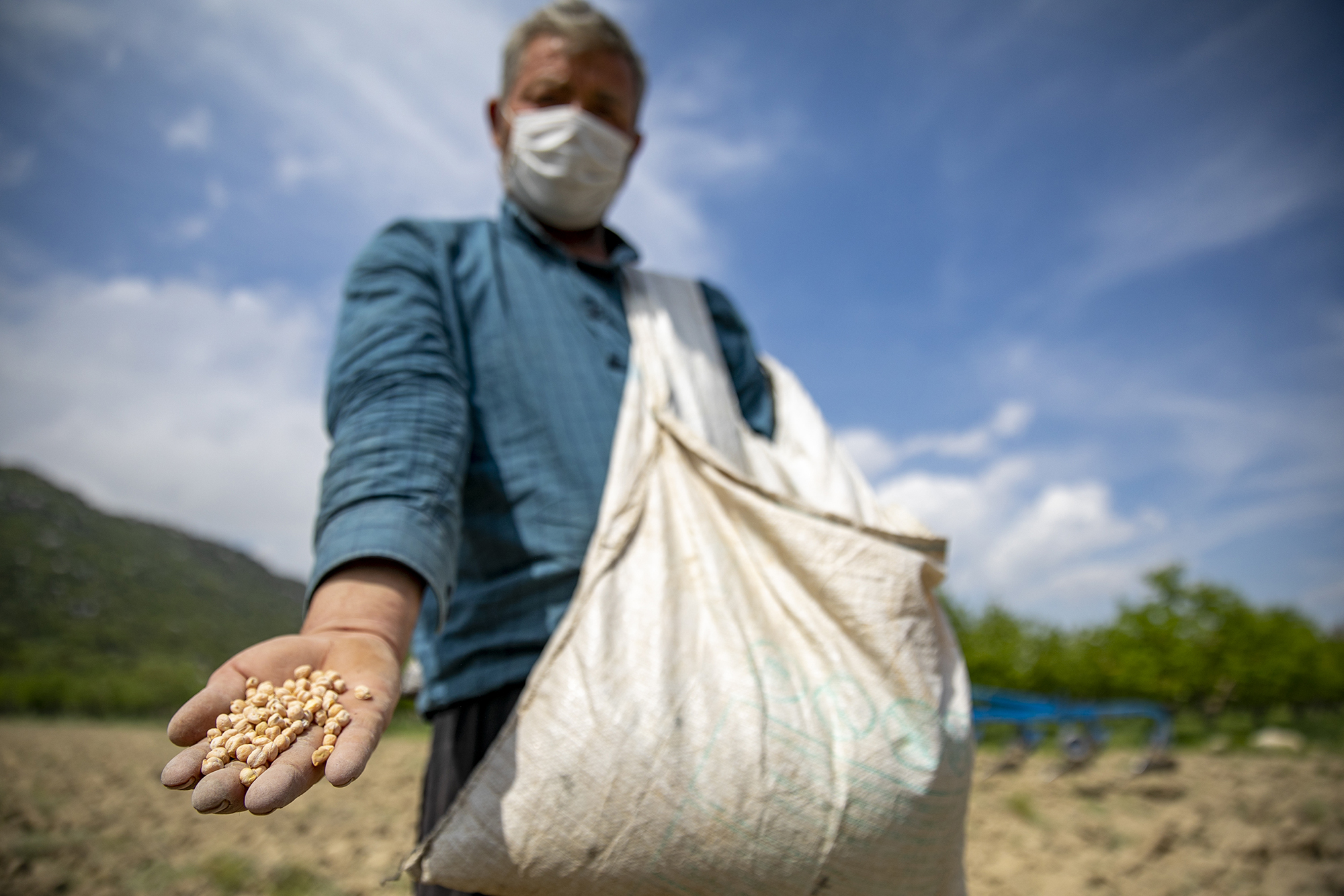 Mersin Büyükşehir Belediyesi, “Yerel