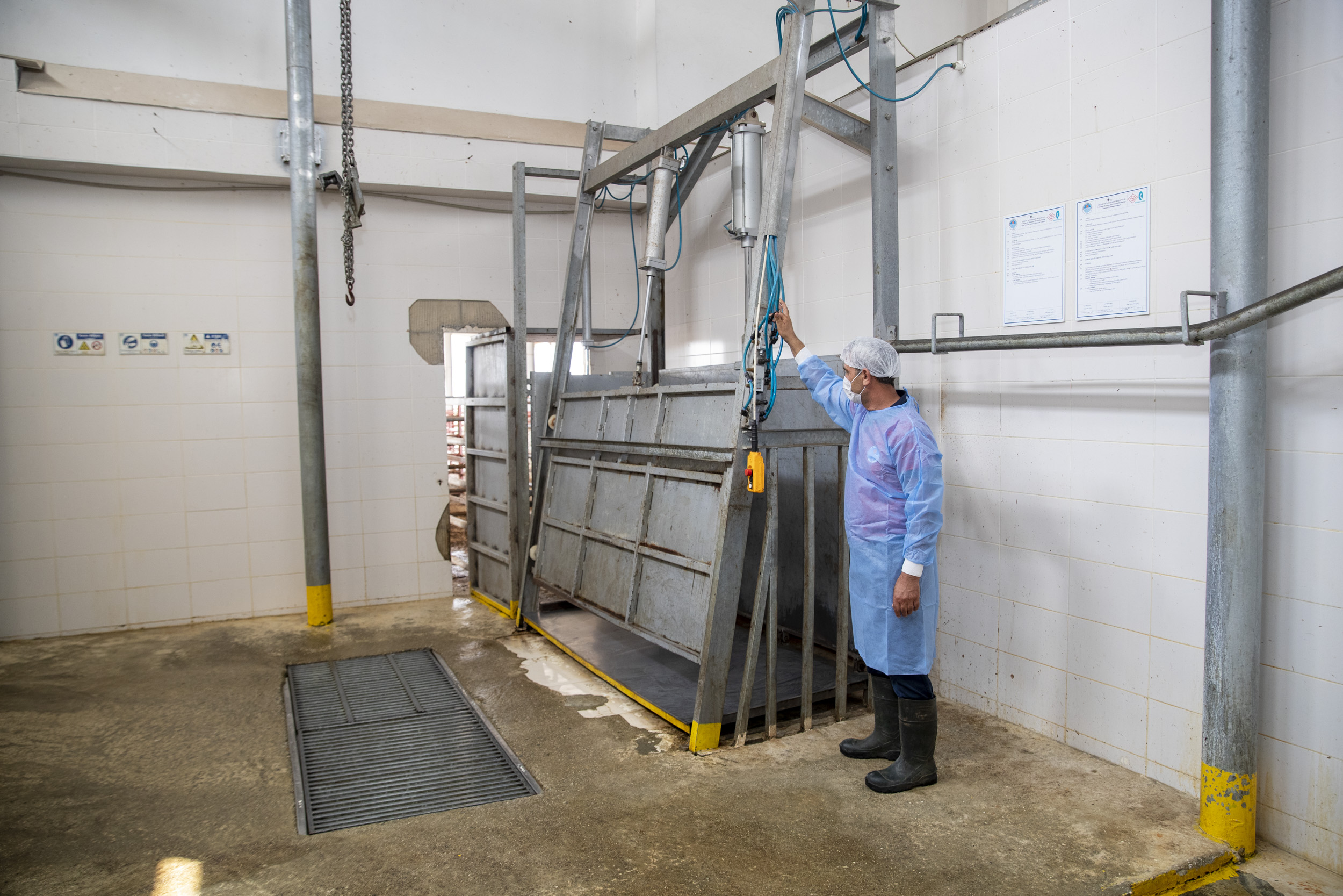 Büyükşehir Belediyesi, Kurban Bayramı’nda