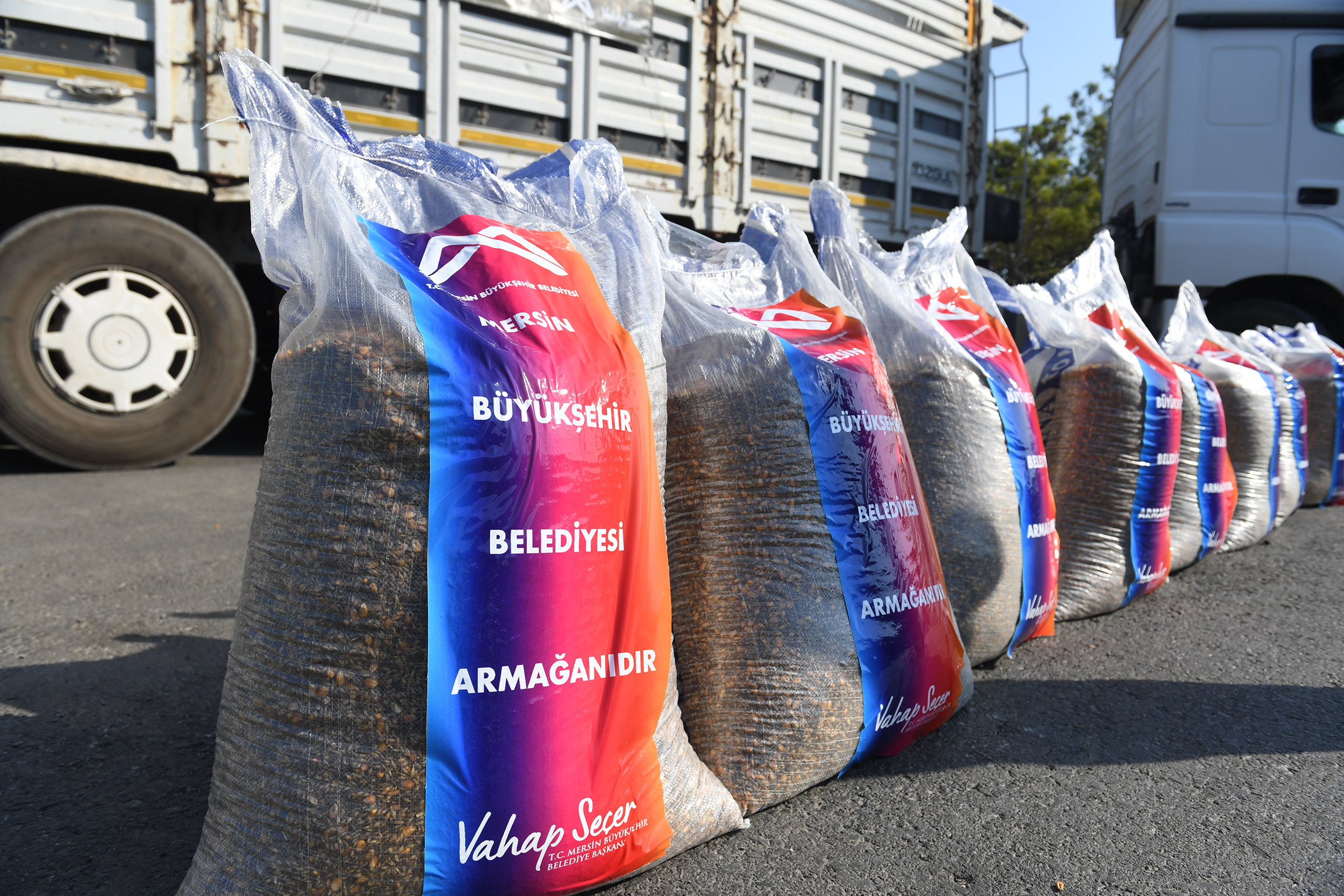 Mersin Büyükşehir Belediyesi, Ağustos