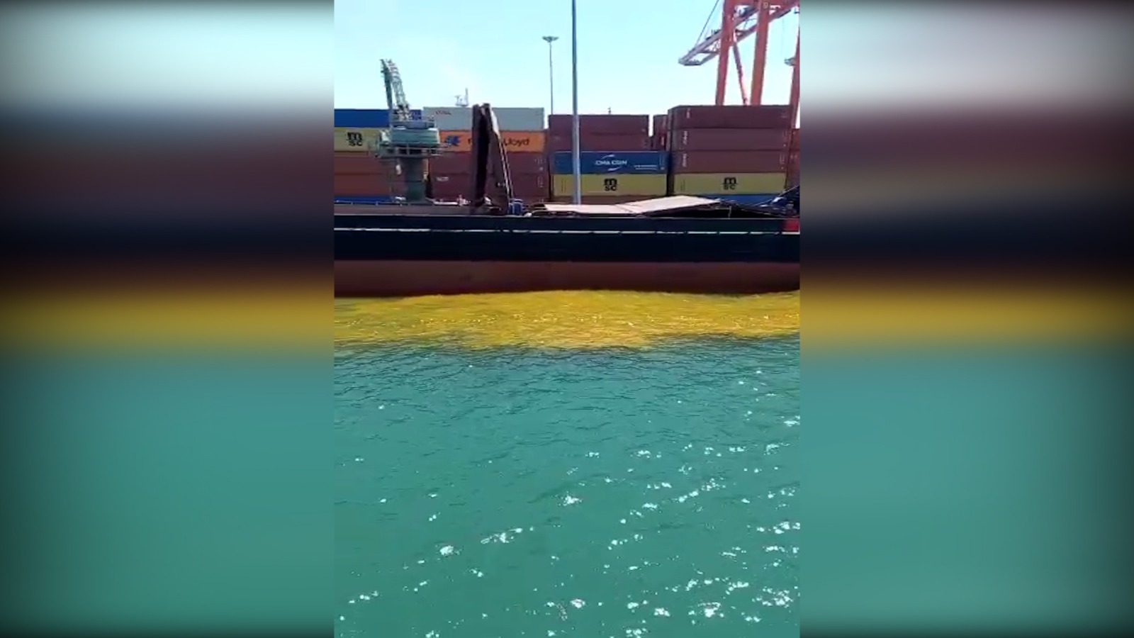 Mersin Büyükşehir Belediyesi Çevre