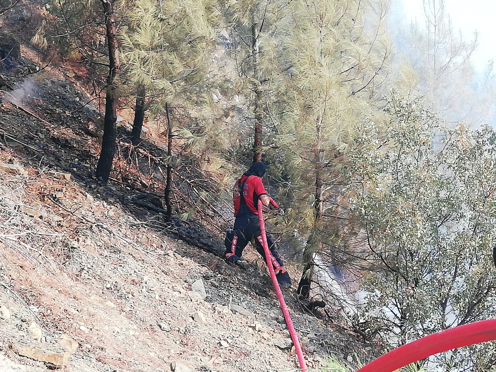 Mersin Büyükşehir Belediyesi, Mersin’in