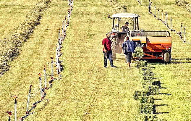 Mersin Ticaret Borsası Başkanı