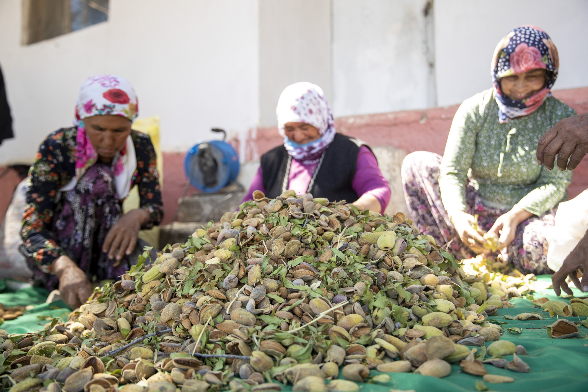 Mersin Büyükşehir Belediyesi Tarımsal