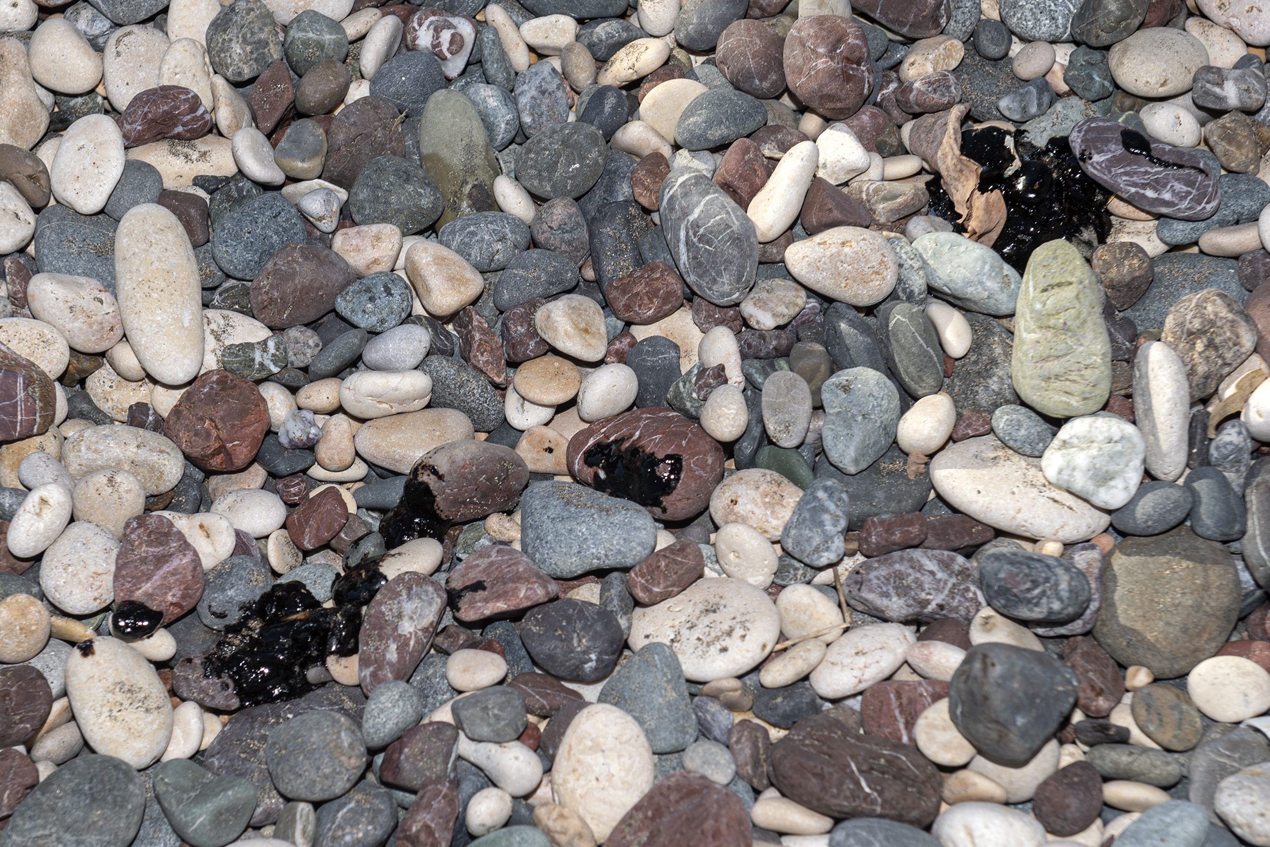 Mersin Büyükşehir Belediyesi Kültür