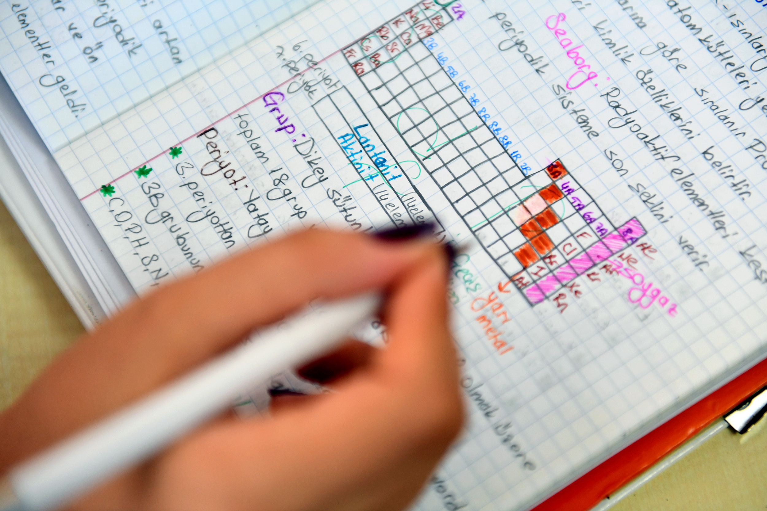 Mersin Büyükşehir Belediye Başkanı