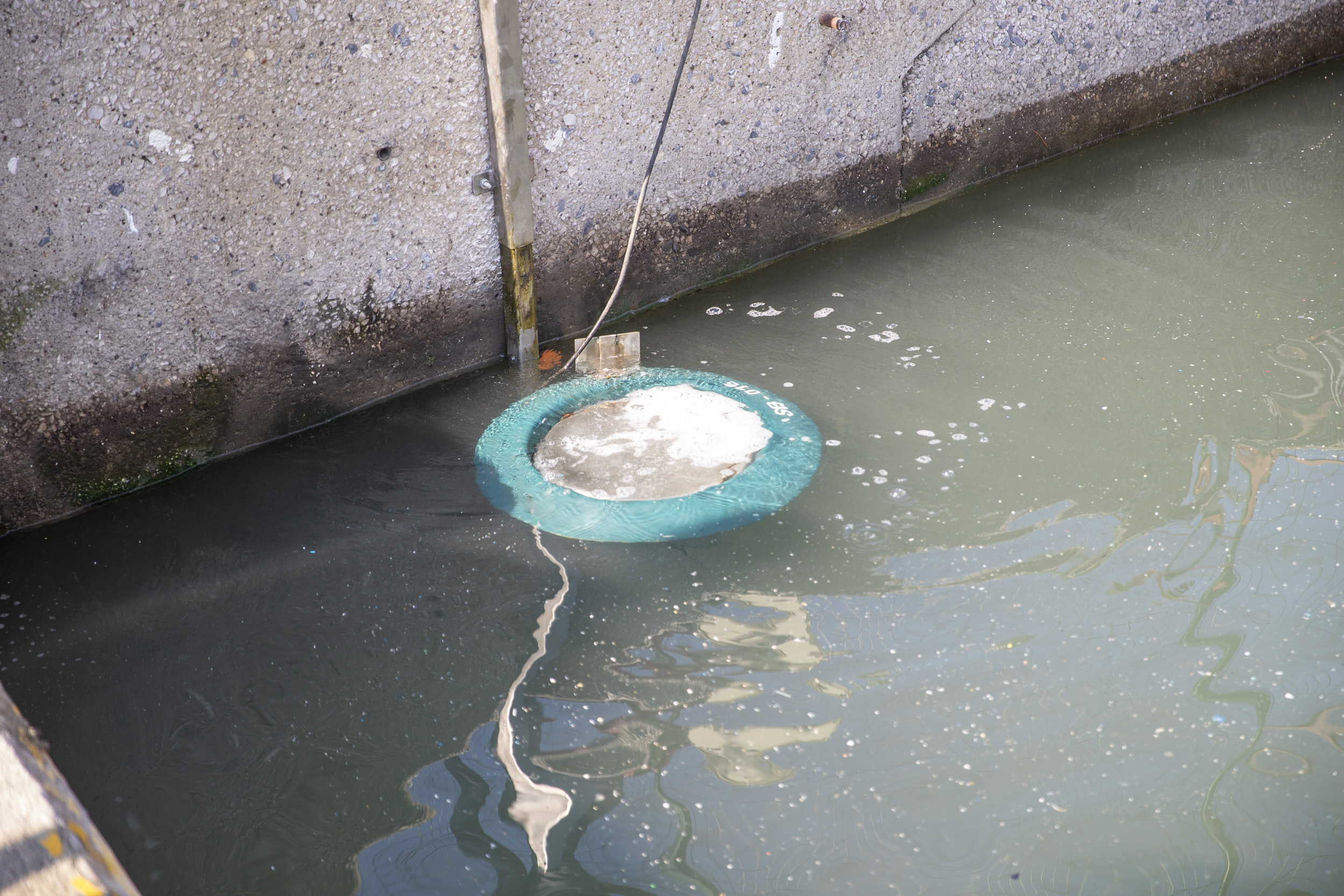 Mersin Büyükşehir Belediyesi Çevre