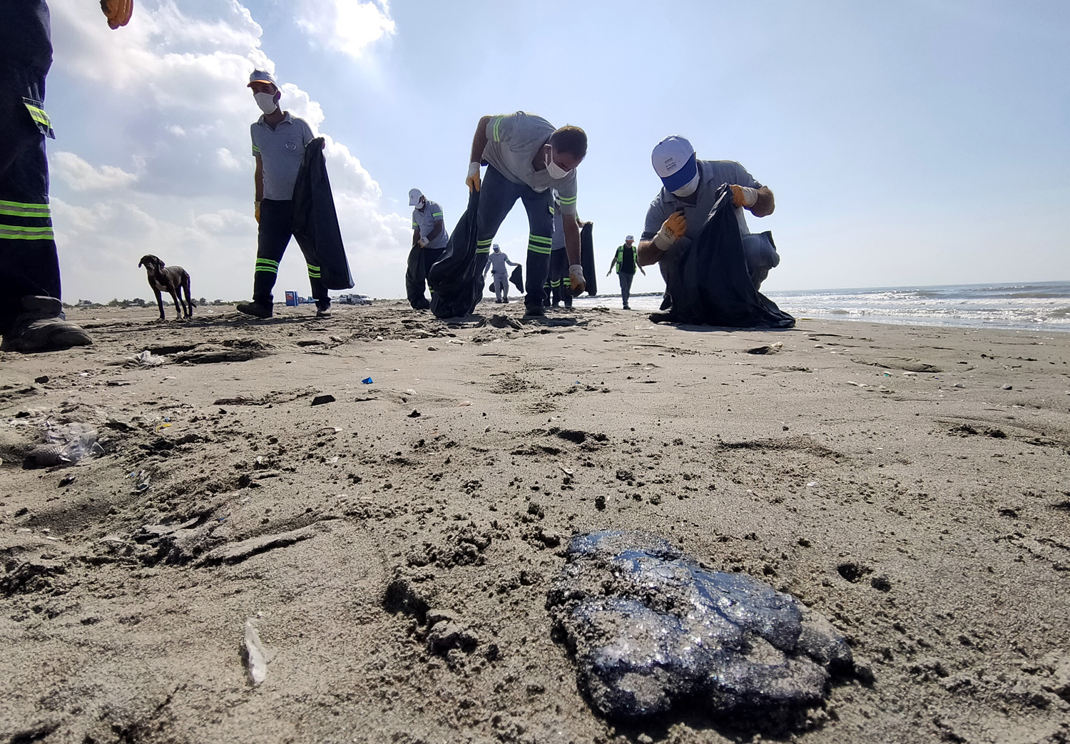 Akdeniz Belediyesi Çevre Koruma