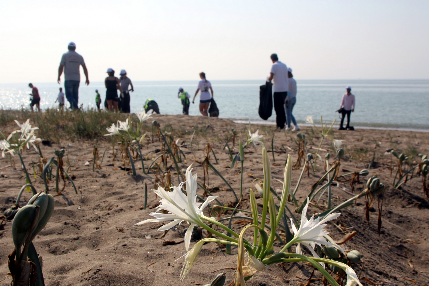 Akdeniz Belediyesi Çevre Koruma