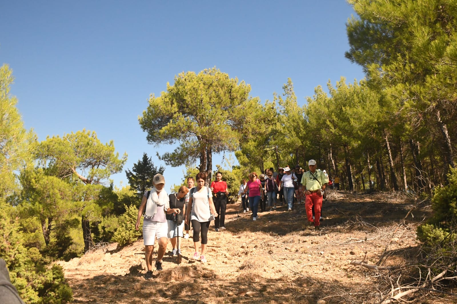 Mersin Büyükşehir Belediyesi Kadın