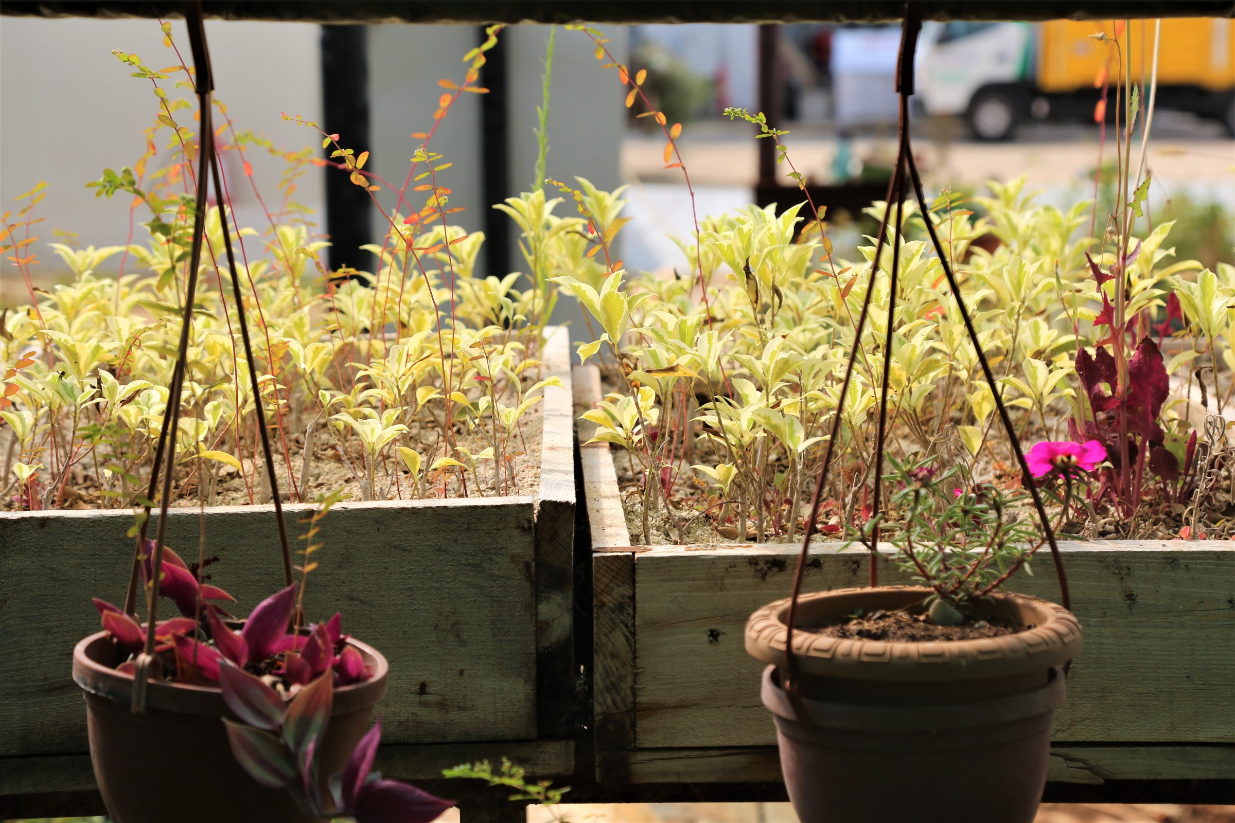 “Toroslar, Her Mevsim Rengârenk” Toroslar Belediyesi, ilçenin dört