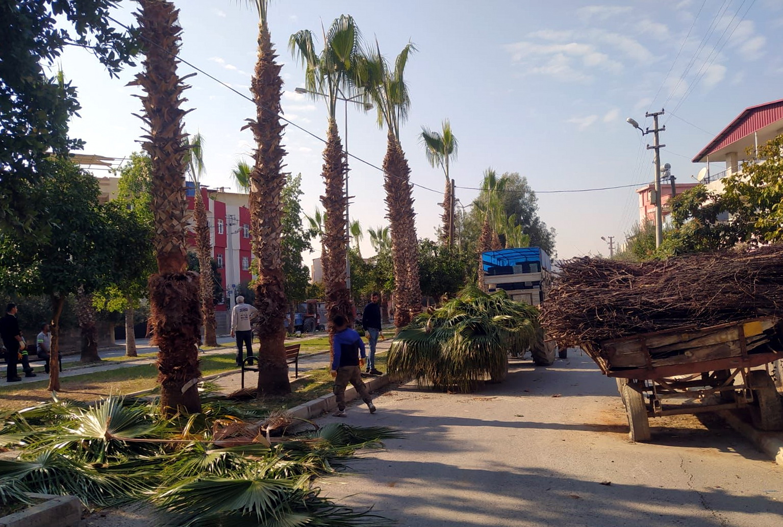 Akdeniz Belediyesi; vatandaşların dinlenmek