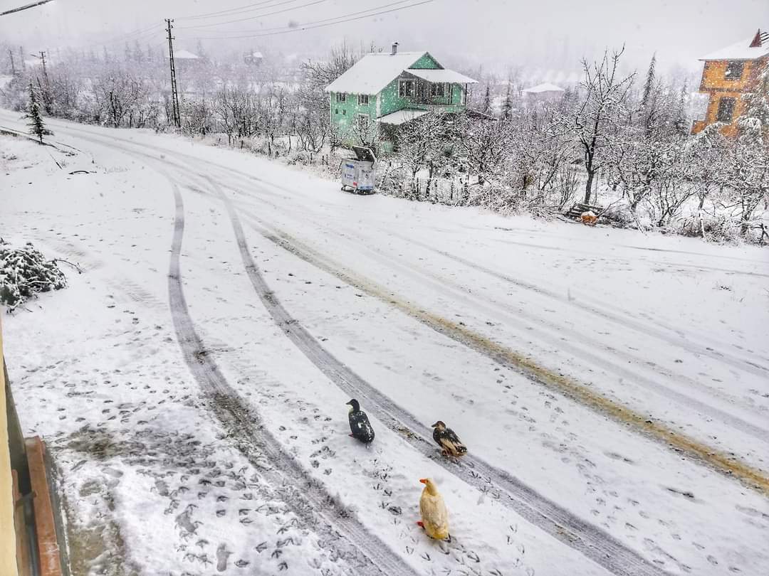 Mersin’in merkez ilçesi Toroslar’ın