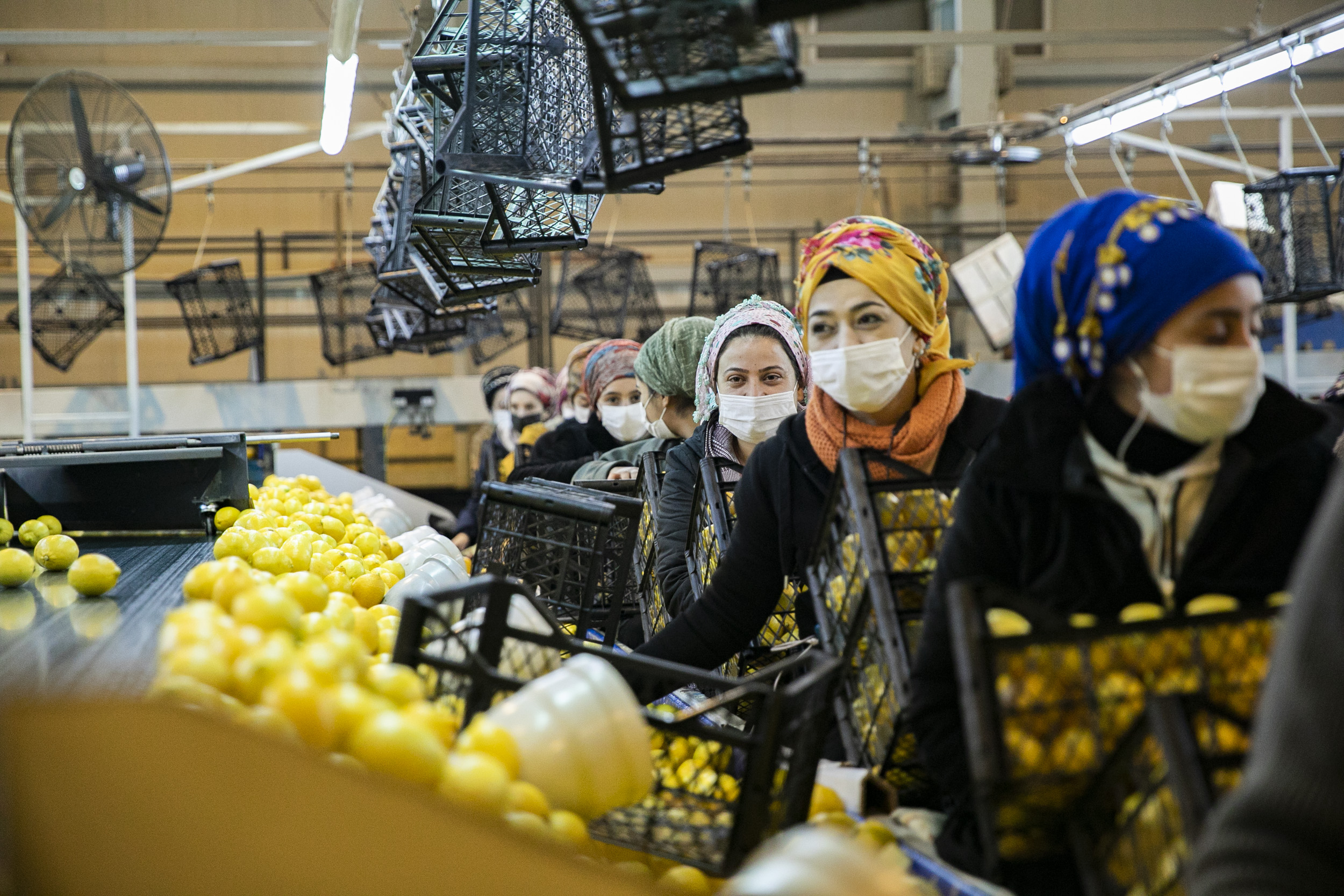 Mersin Büyükşehir Belediye Başkanı