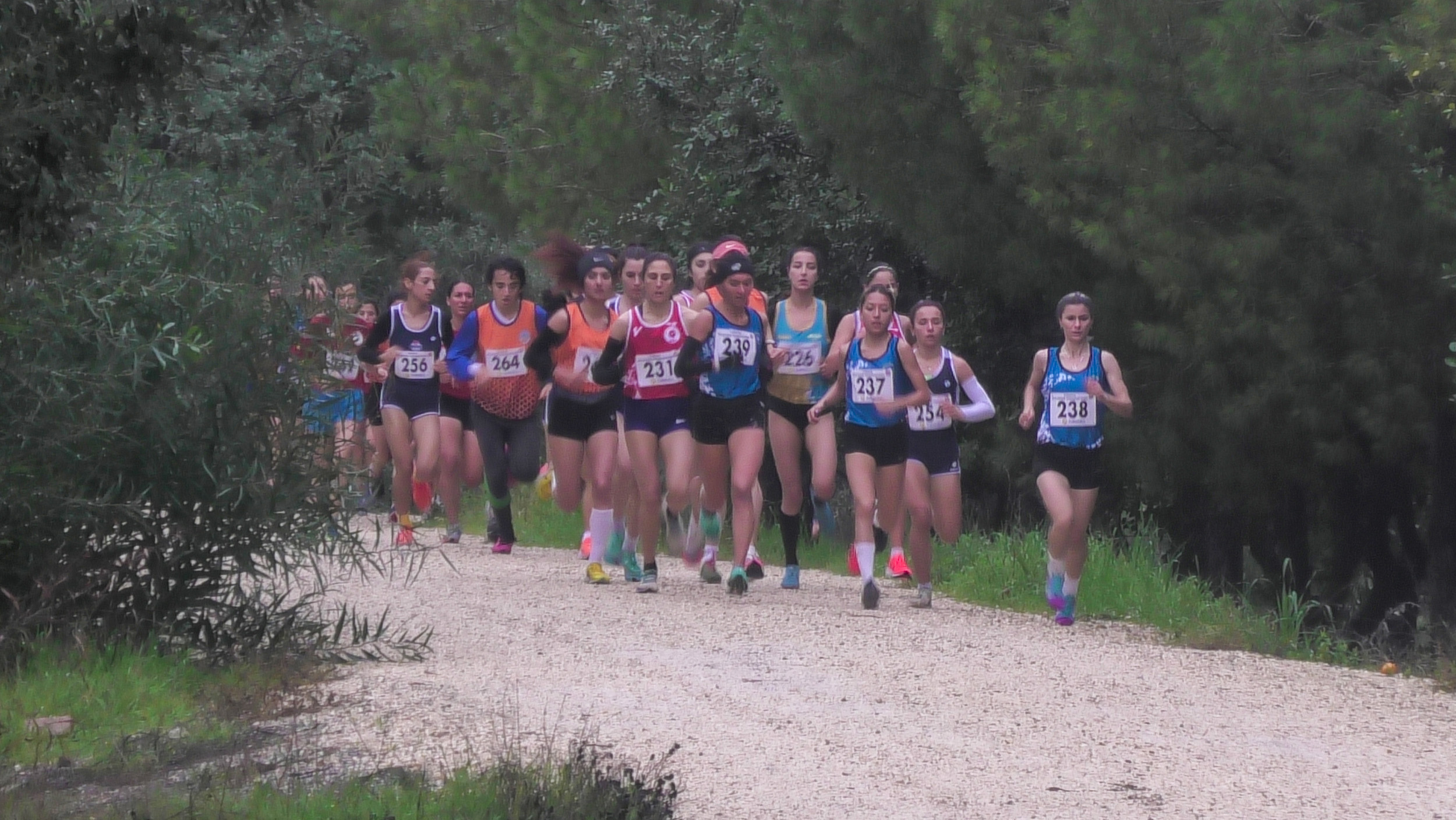 Mersin Büyükşehir Belediyesi, bir