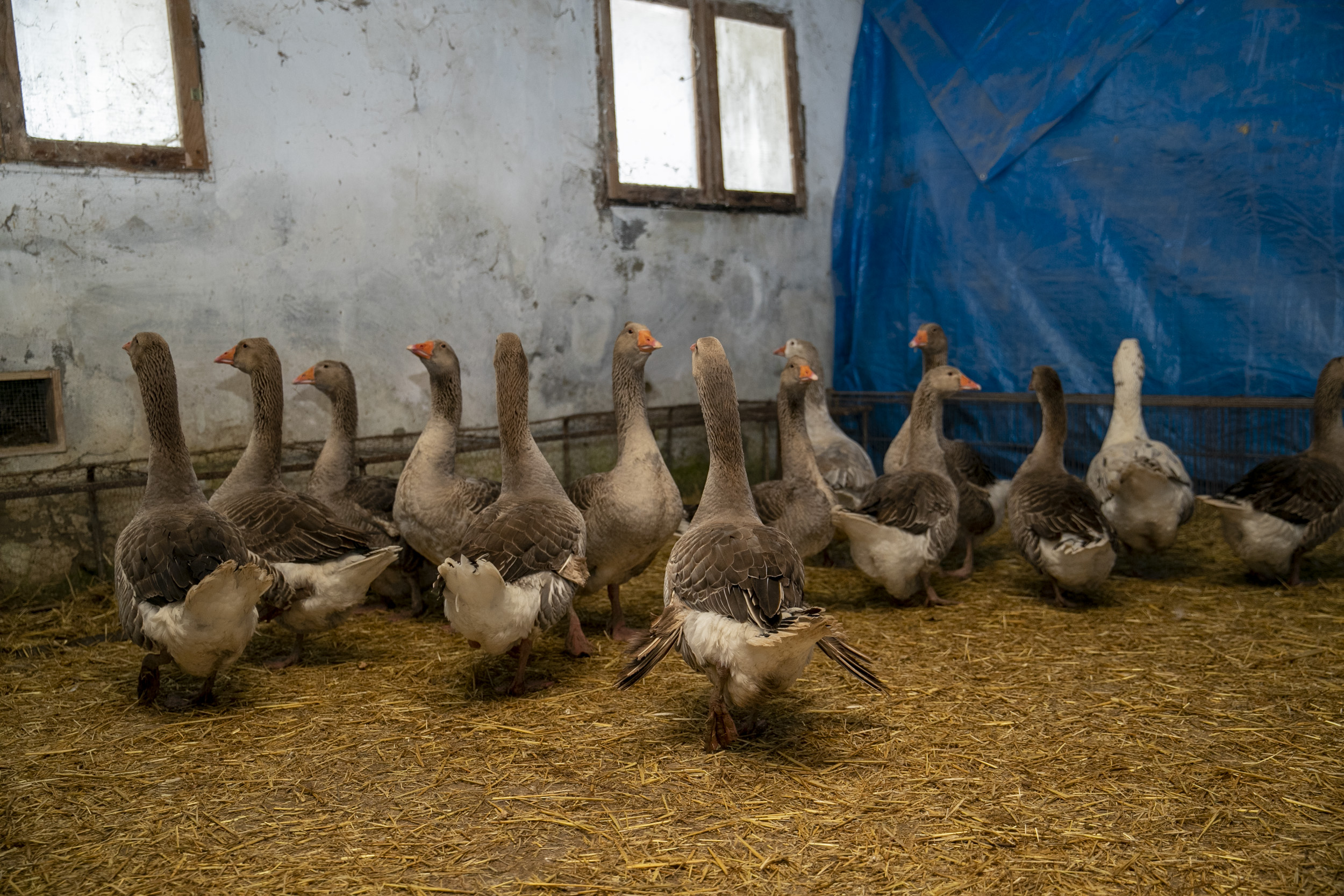 Mersin Büyükşehir Belediyesi’nin tarım