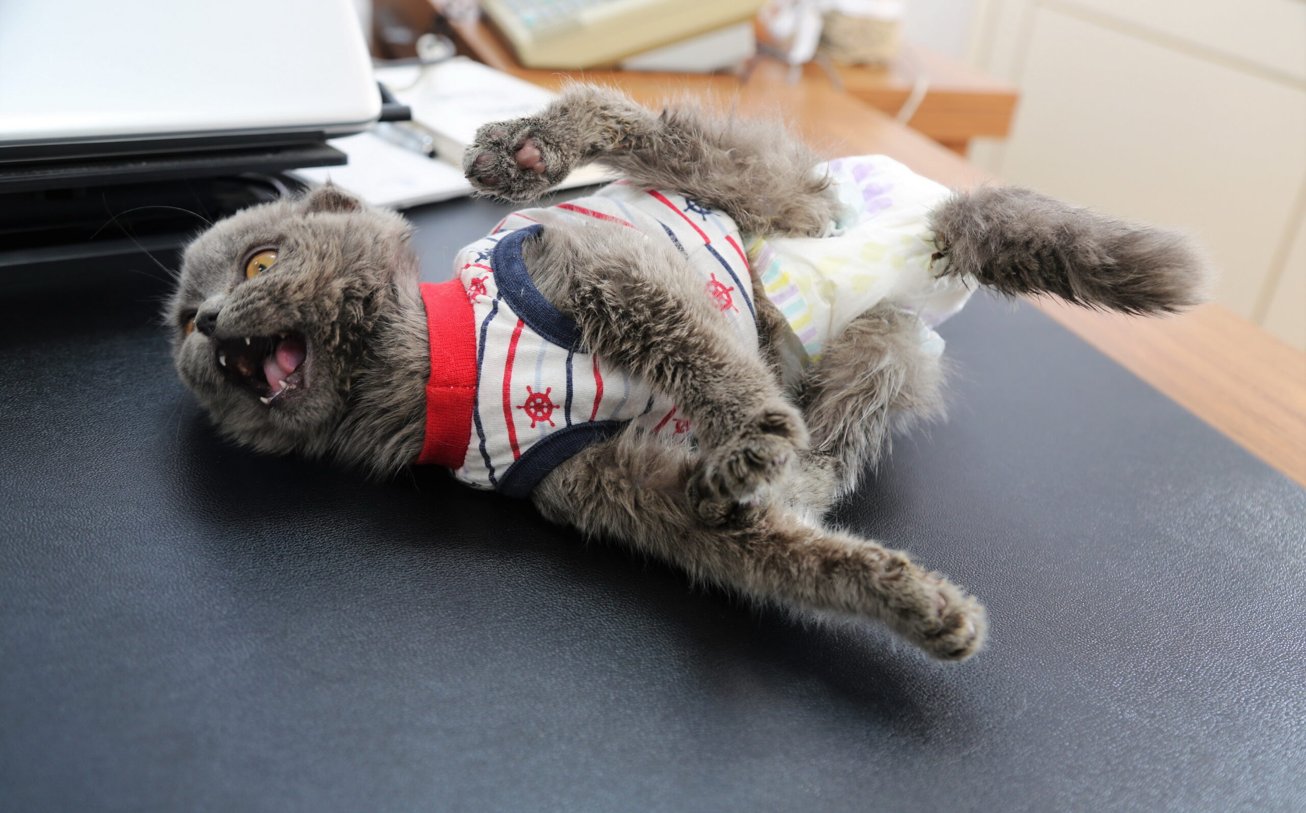 Akdeniz Belediye Başkanı Mustafa