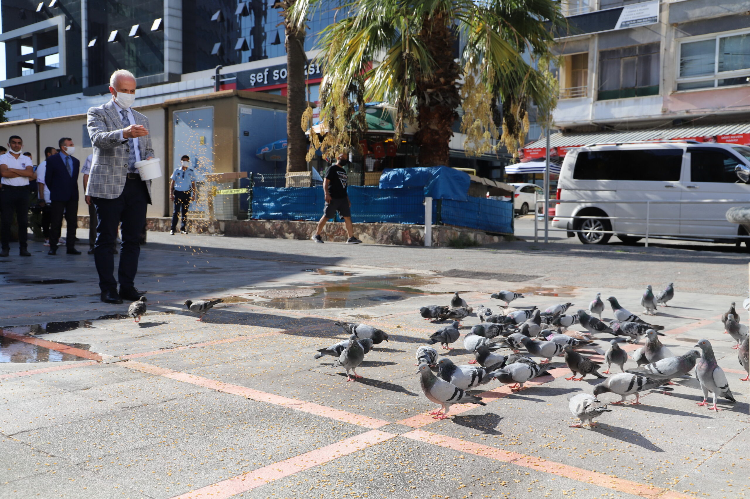 Sokakta yaşayan can dostlara