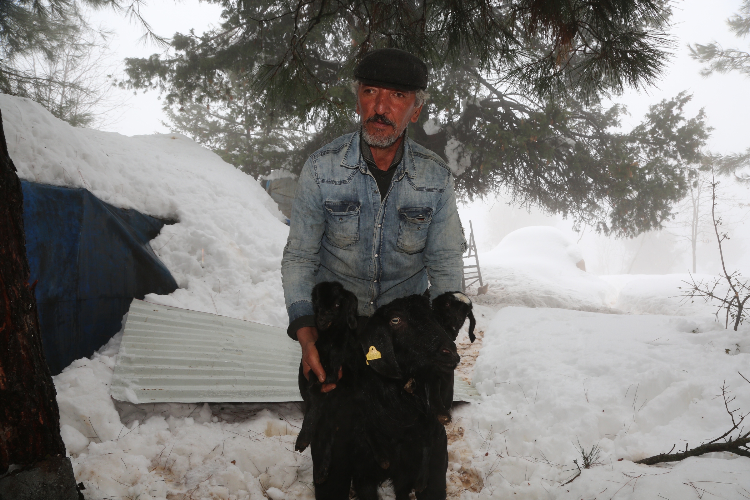Başkan Yılmaz; “Toroslarımızın Yaylalarında Yörük Çadırlarının Dumanı İlelebet Tütecek” Toroslar Belediyesi, Çandır Mahallesinde