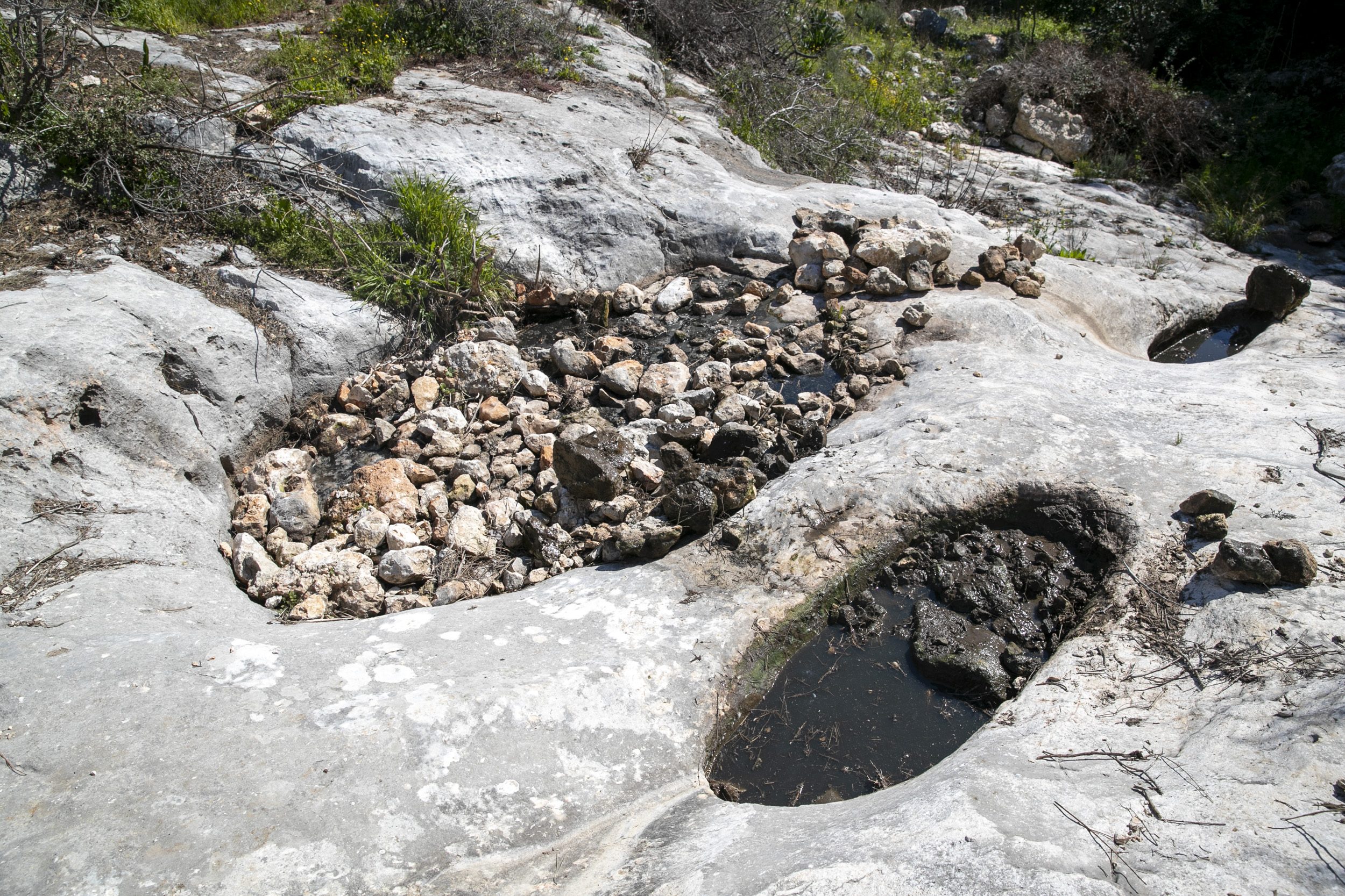 MERSİN BÜYÜKŞEHİR, 412 PERSONEL VE 125 ARAÇLA İLAÇLAMA YAPIYOR Mersin Büyükşehir Belediyesi’nin sinek