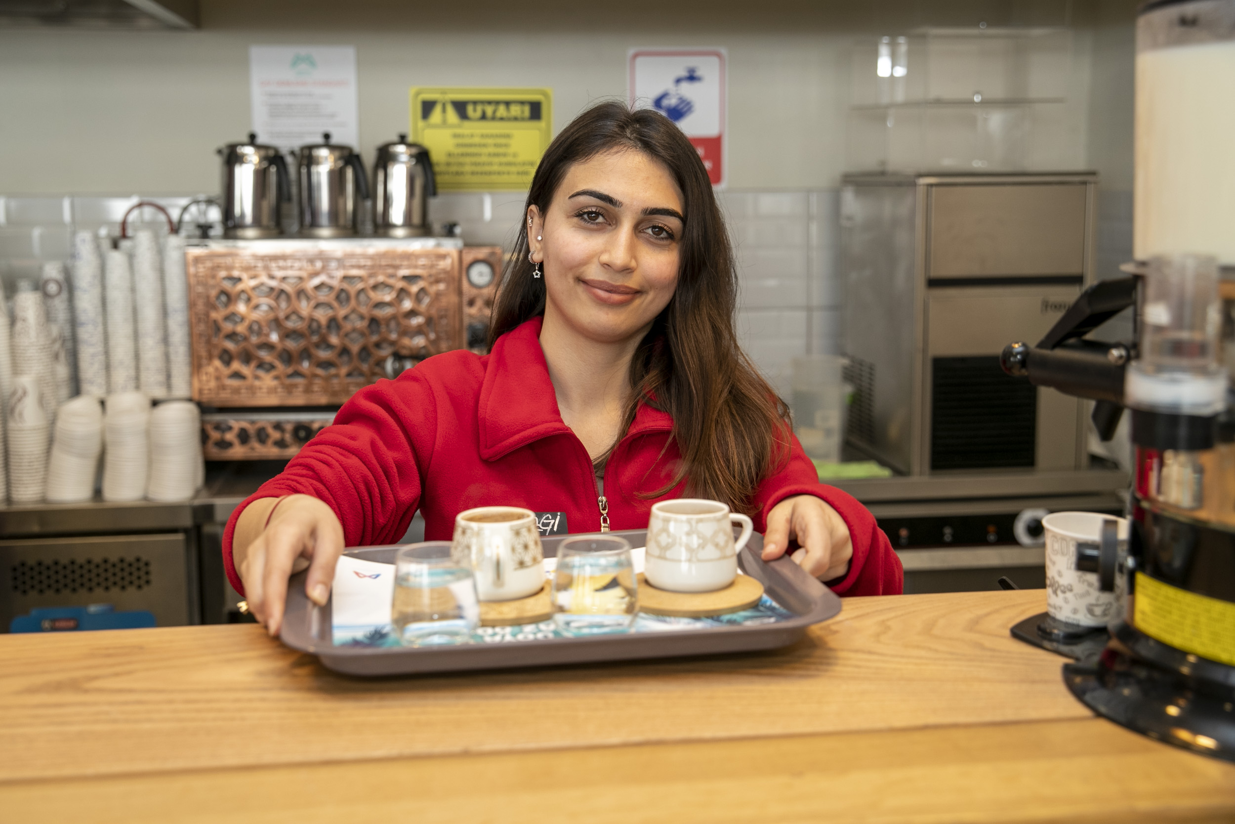 Mersin Büyükşehir Belediyesi, Kariyer