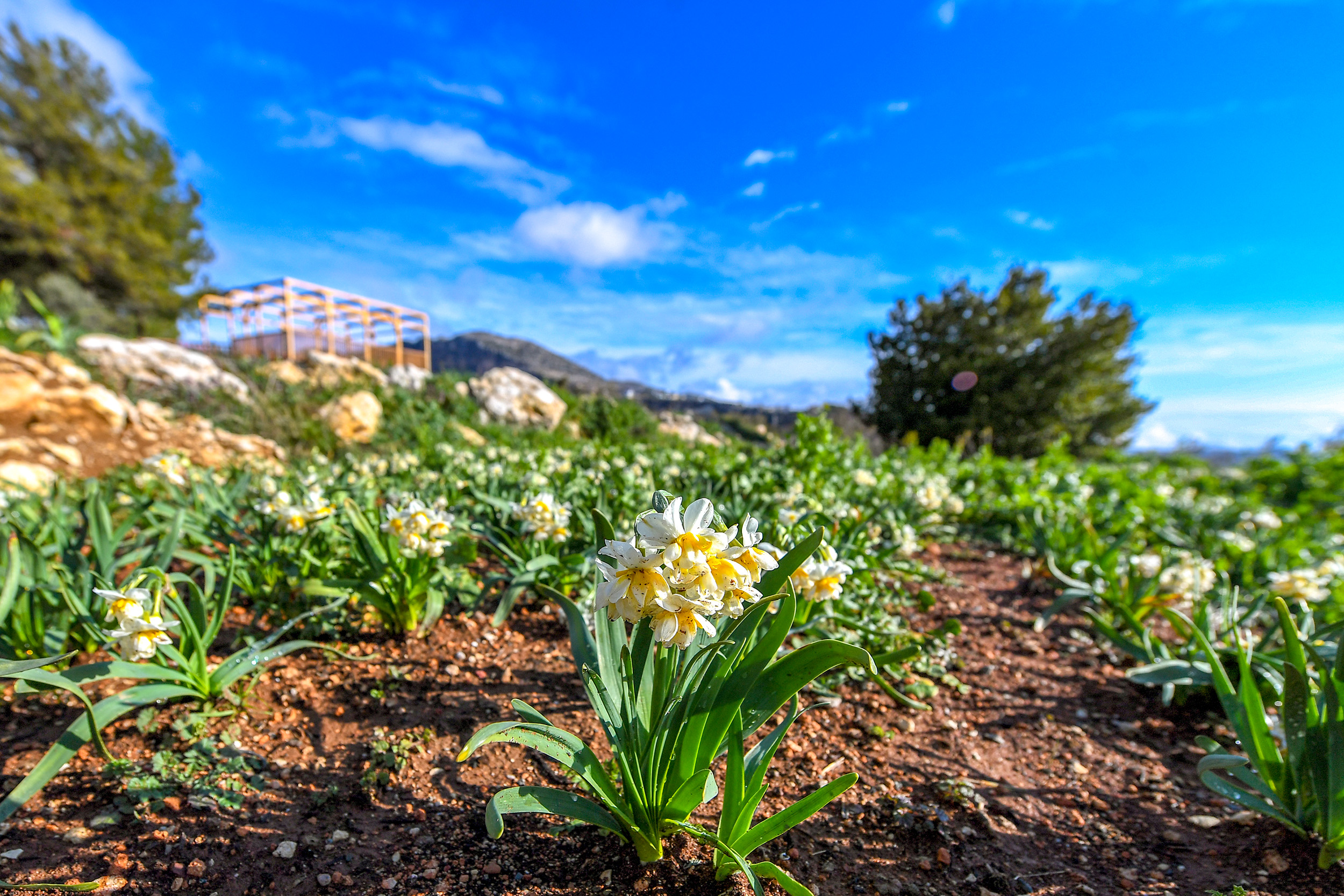 Mersin Büyükşehir Belediyesi Tarımsal