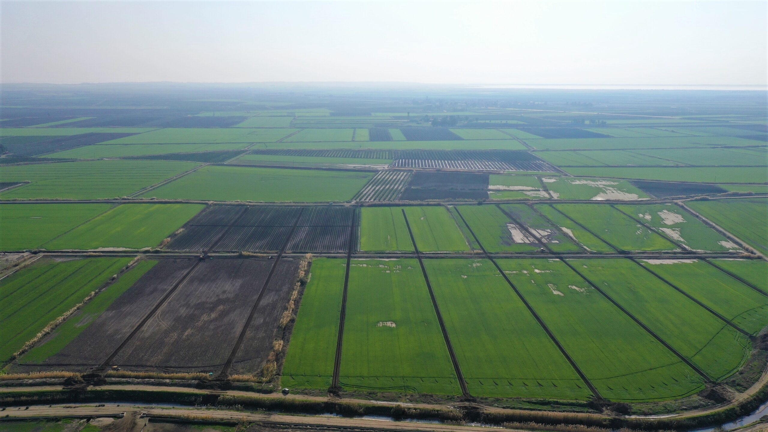 Devlet Su İşleri Genel