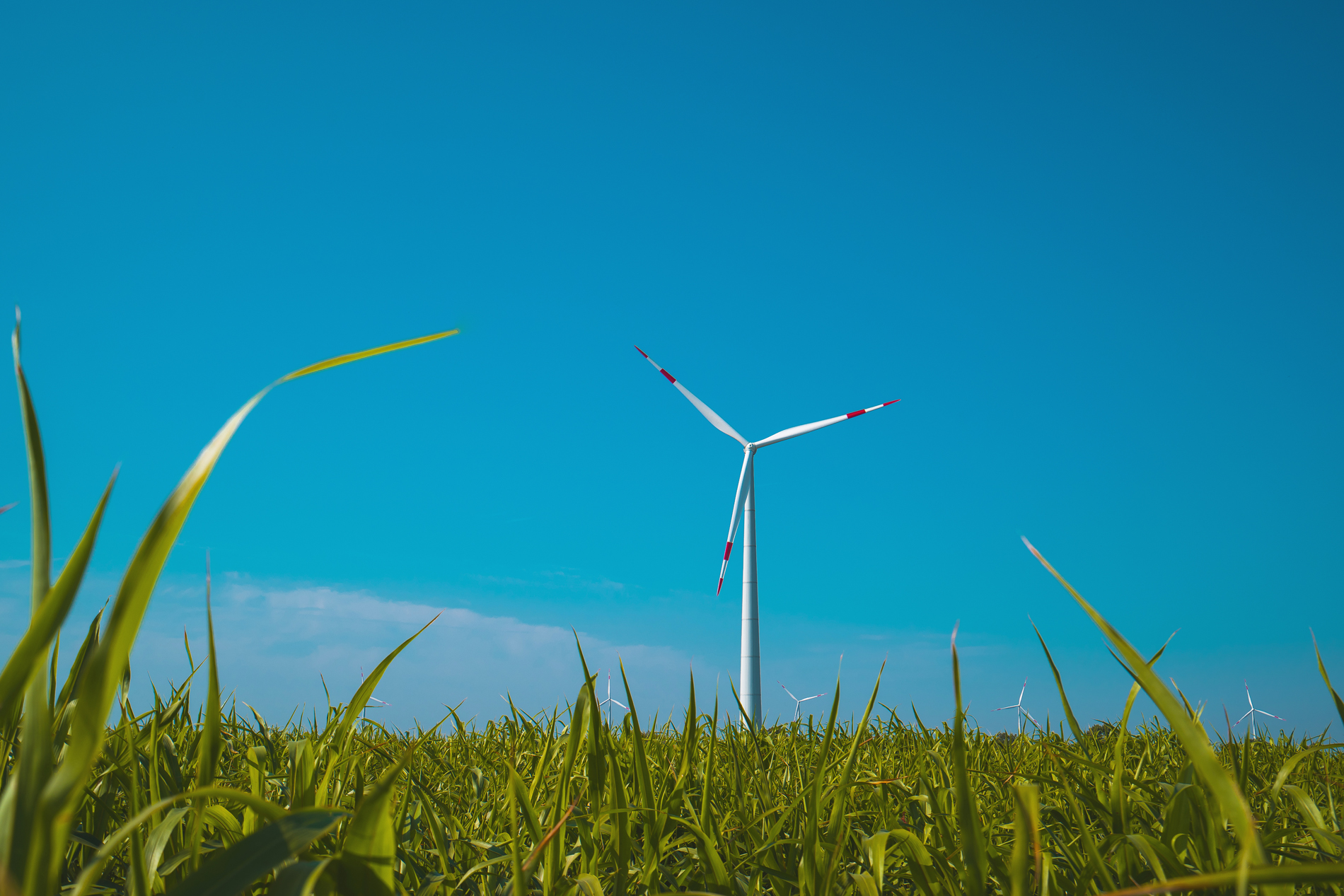 ROSATOM’UN RÜZGAR ENERJİSİ BİRİMİ I-REC SERTİFİKALARINI VERDİ Asansör ekipmanı ve yürüyen