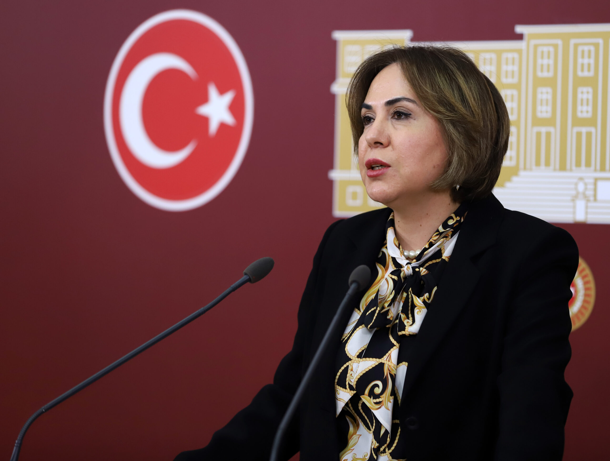 TBMM Anayasa Komisyonu Katip