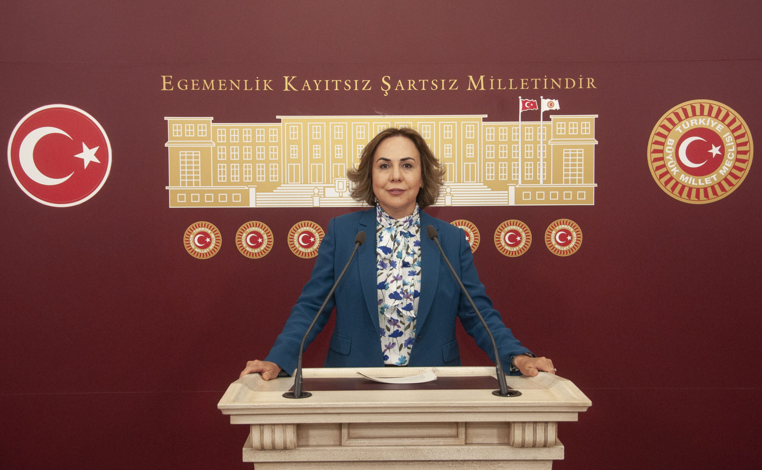 TBMM Anayasa Komisyonu Katip