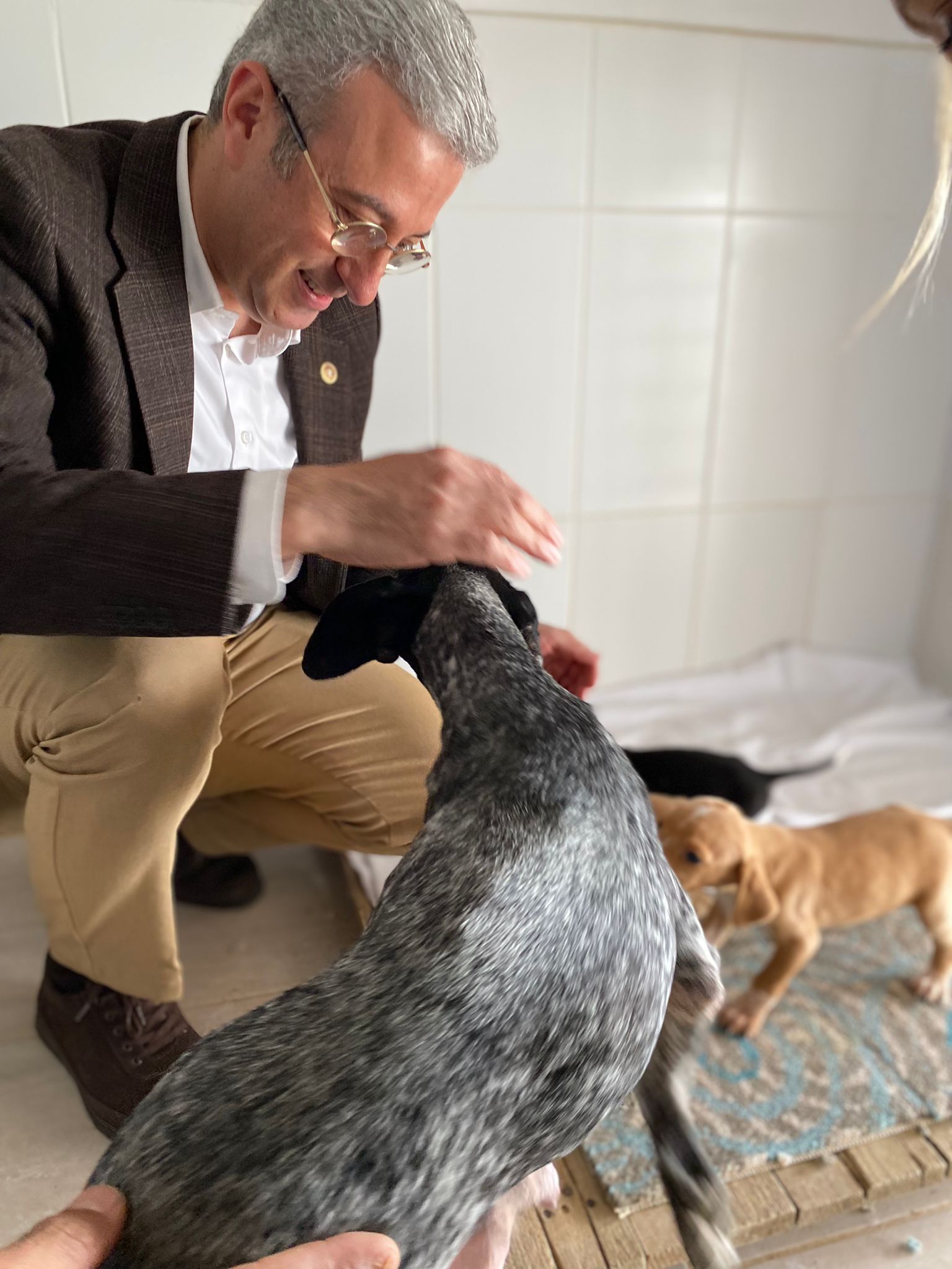 CHP Mersin Milletvekili Alpay