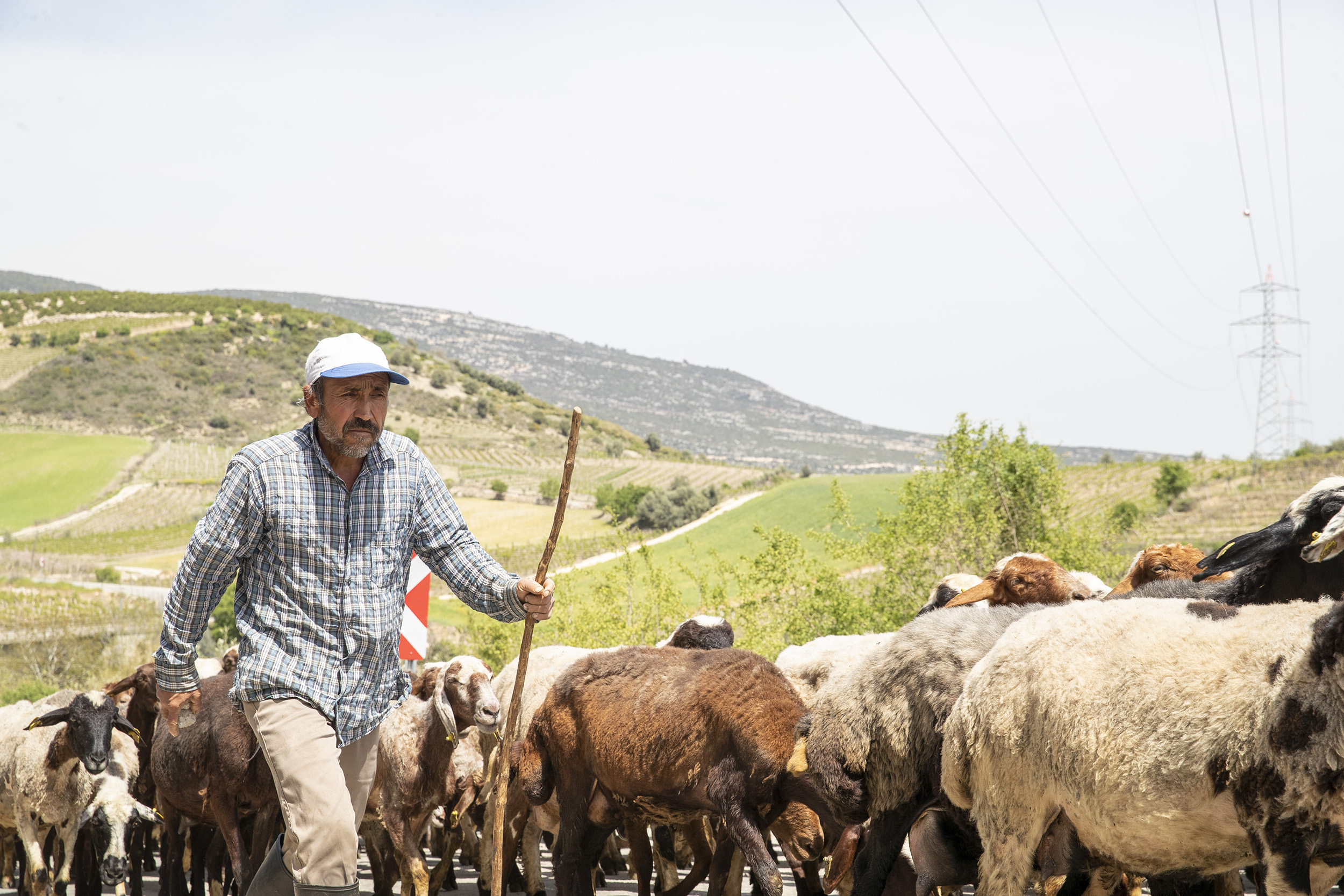 Mersin Büyükşehir Belediyesi Sosyal
