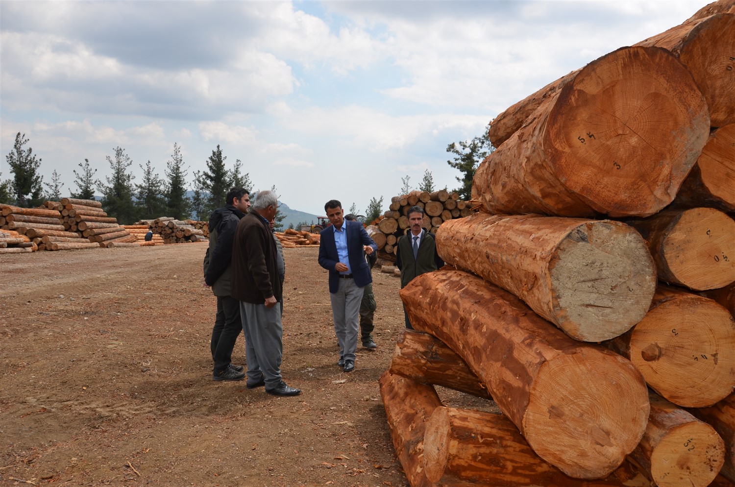 Mersin Orman Bölge Müdürü