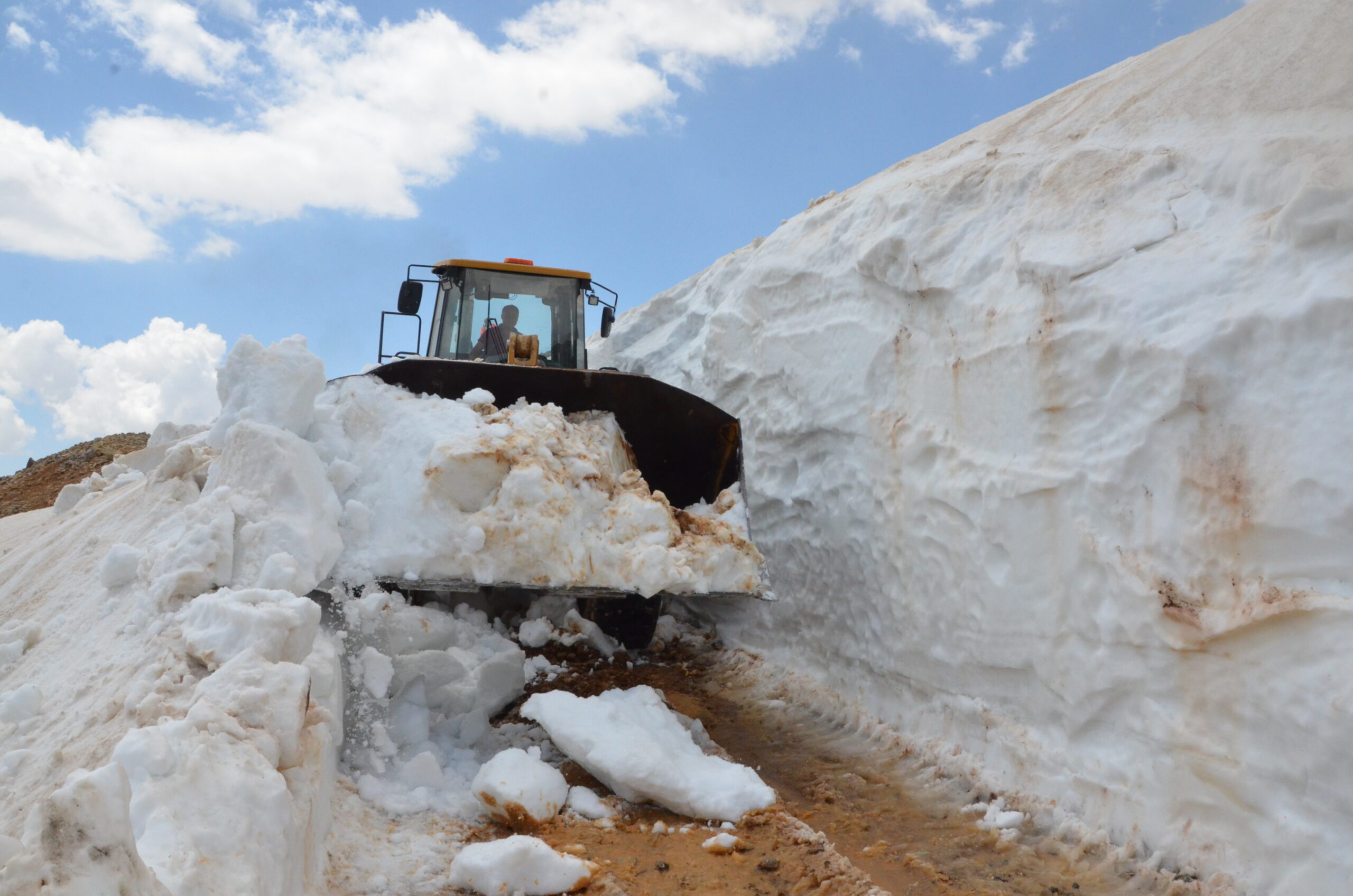 Mersin Büyükşehir Belediyesi, yaz
