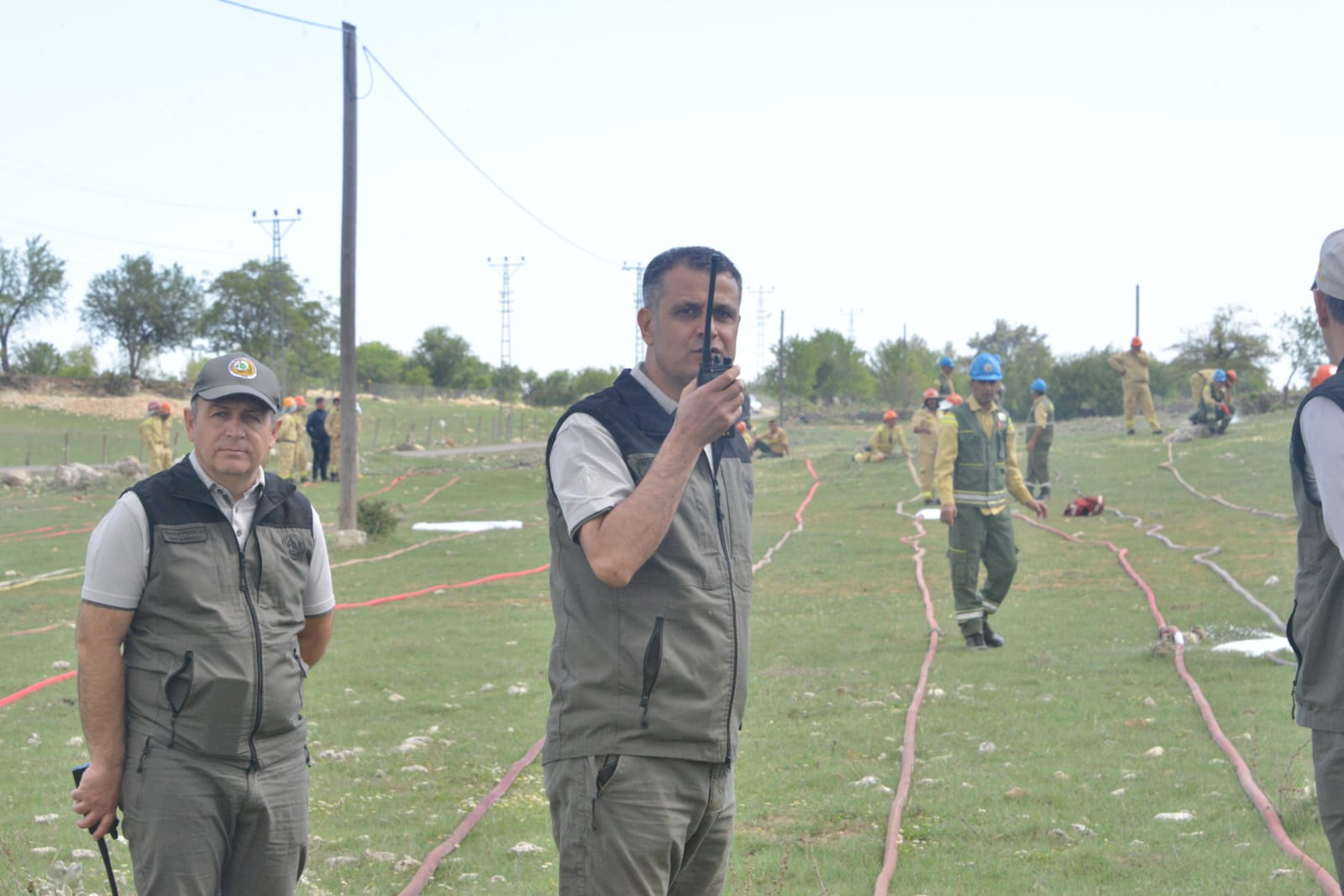 Mersin Orman Bölge Müdürlüğü