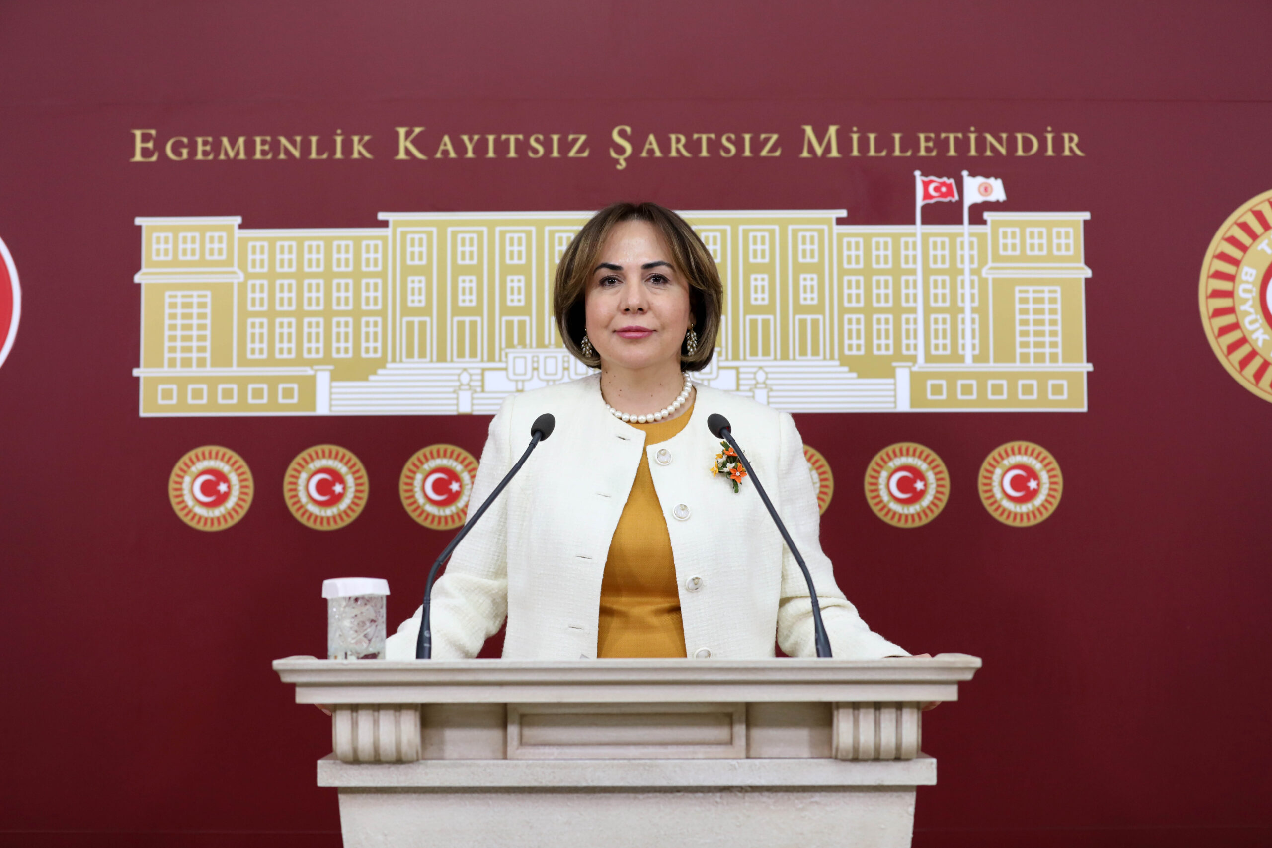 TBMM Anayasa Komisyonu Katip