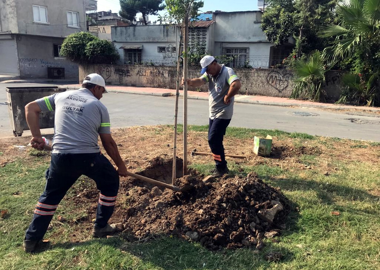 Akdeniz Belediyesi, artan sıcaklarla