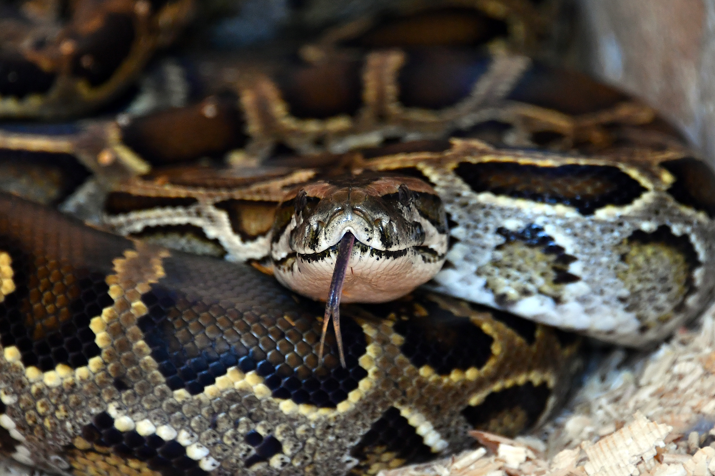 Doğal güzelliği ve içeriğiyle