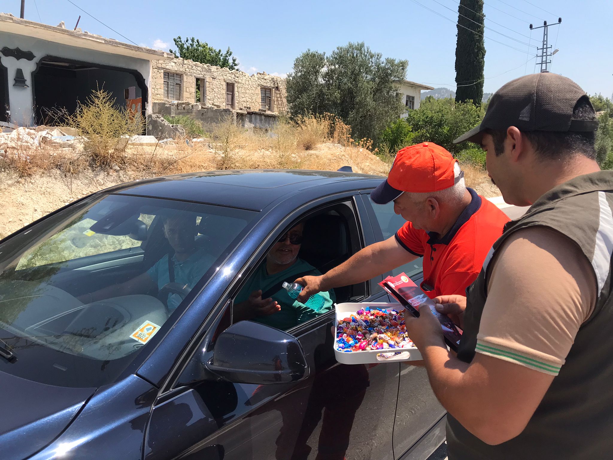 Mersin Orman Bölge Müdürlüğü,