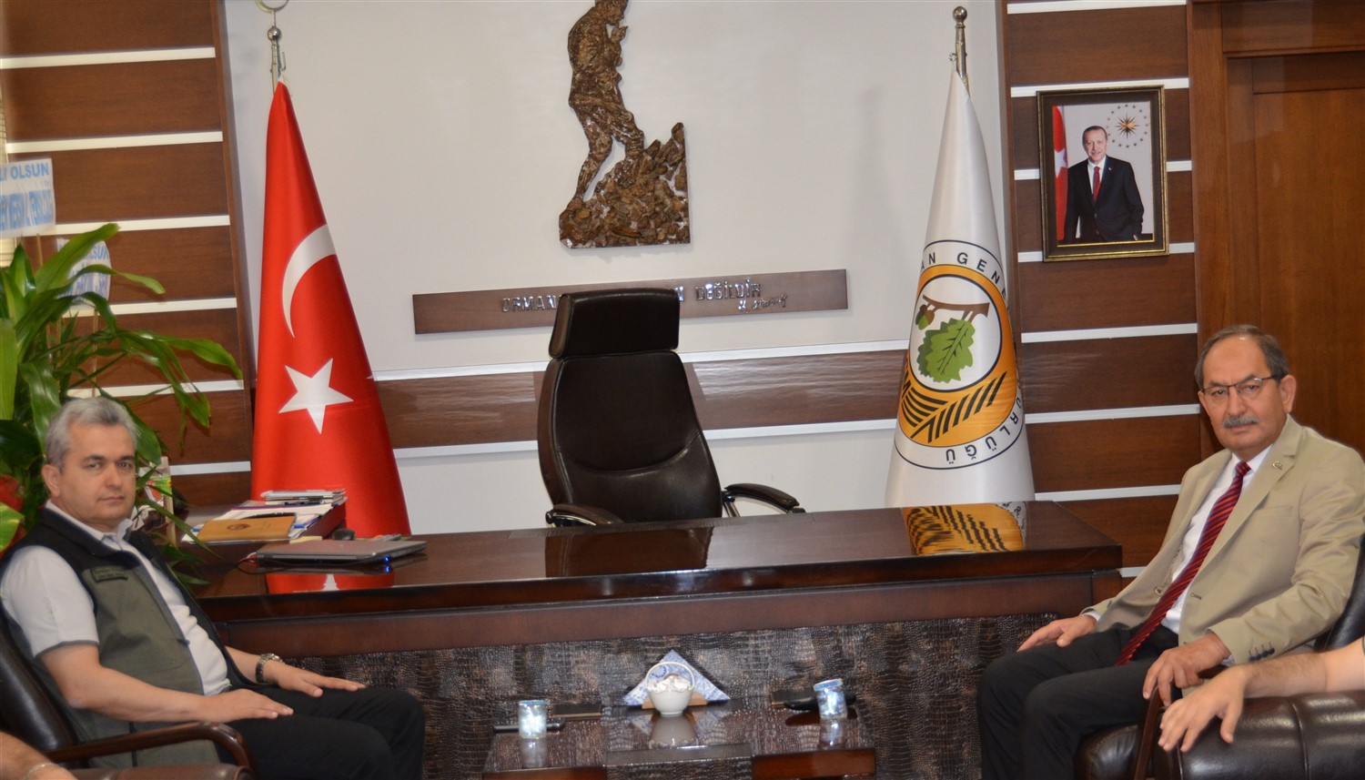 Orman Genel Müdür Yardımcısı